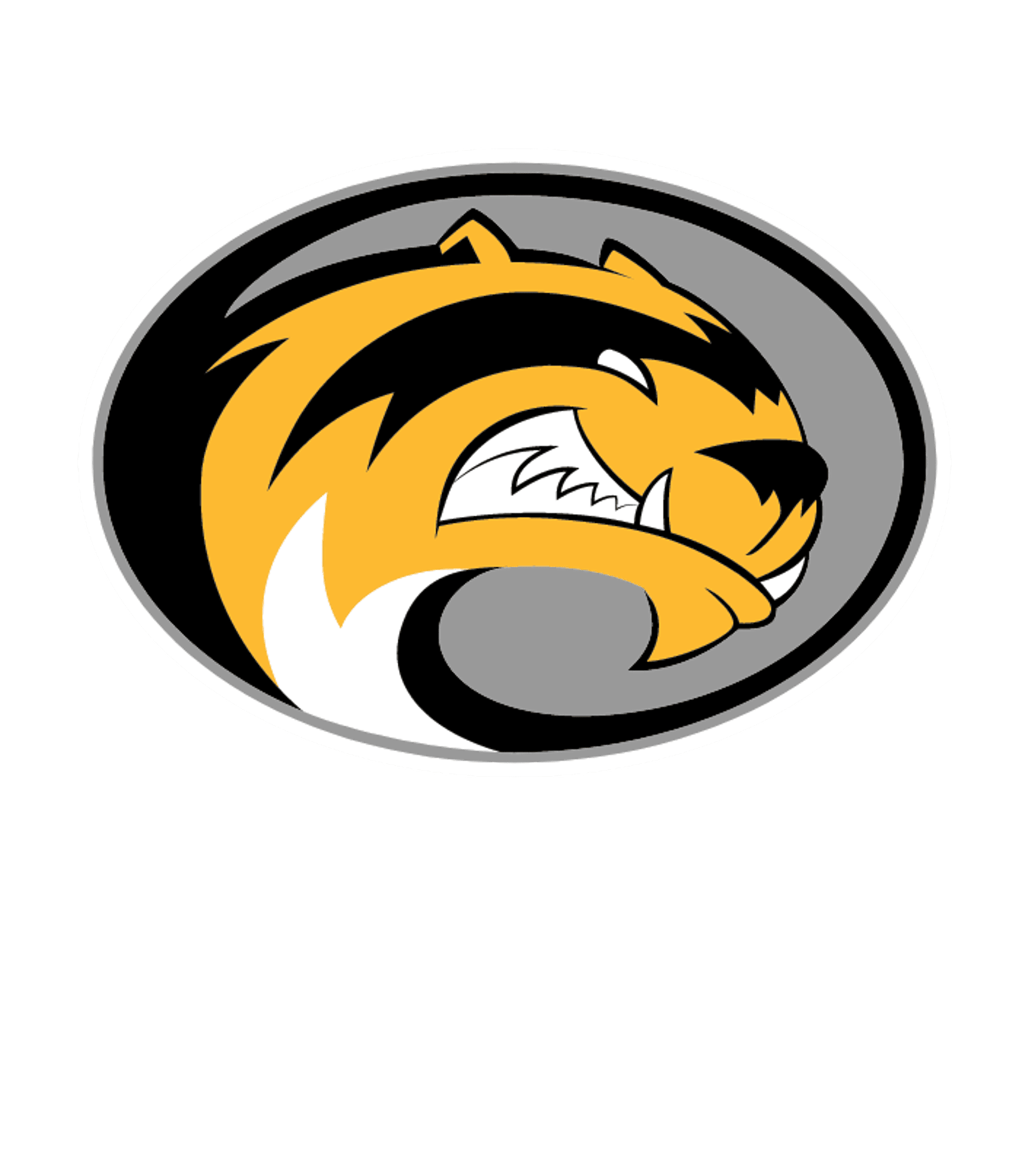 SIBLEY EAST-ARLINGTON SENIOR HIGH Logo