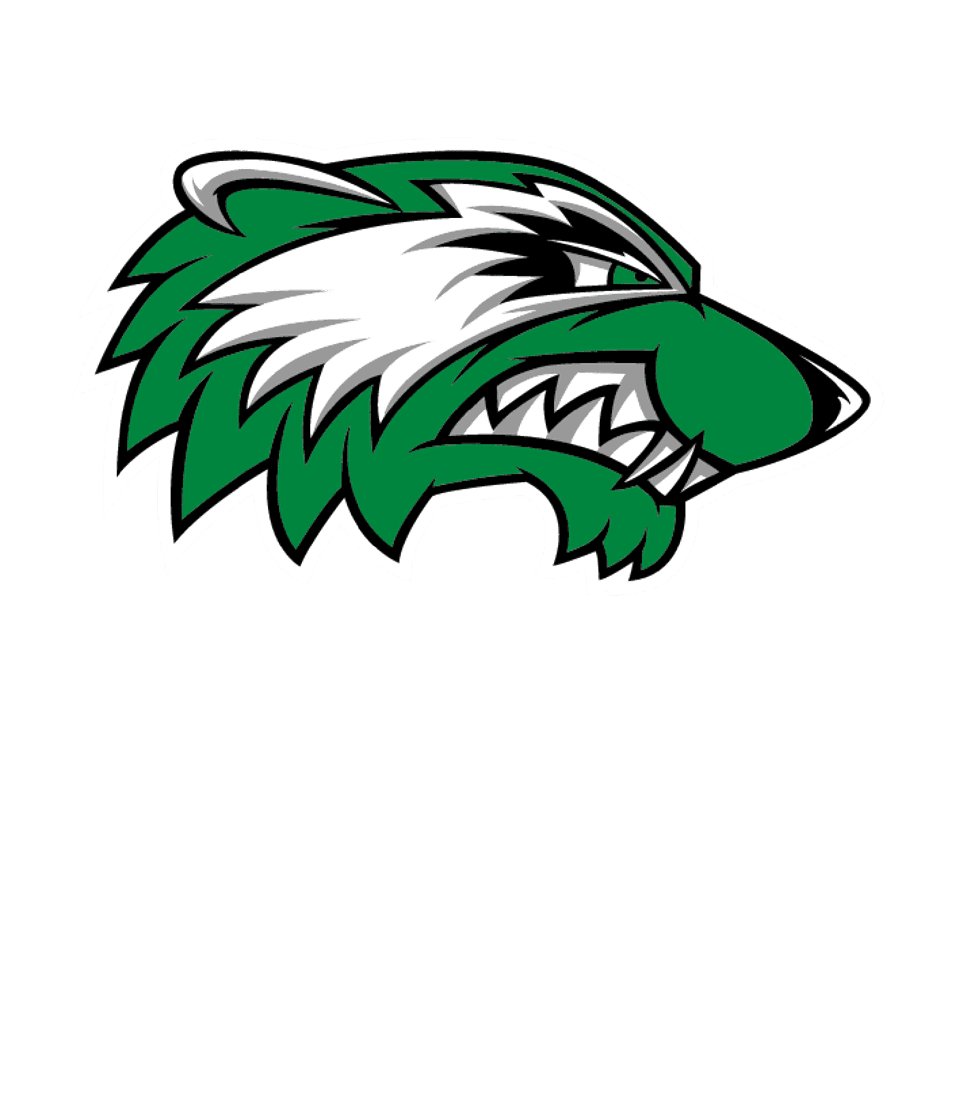 TEXICO HIGH Logo