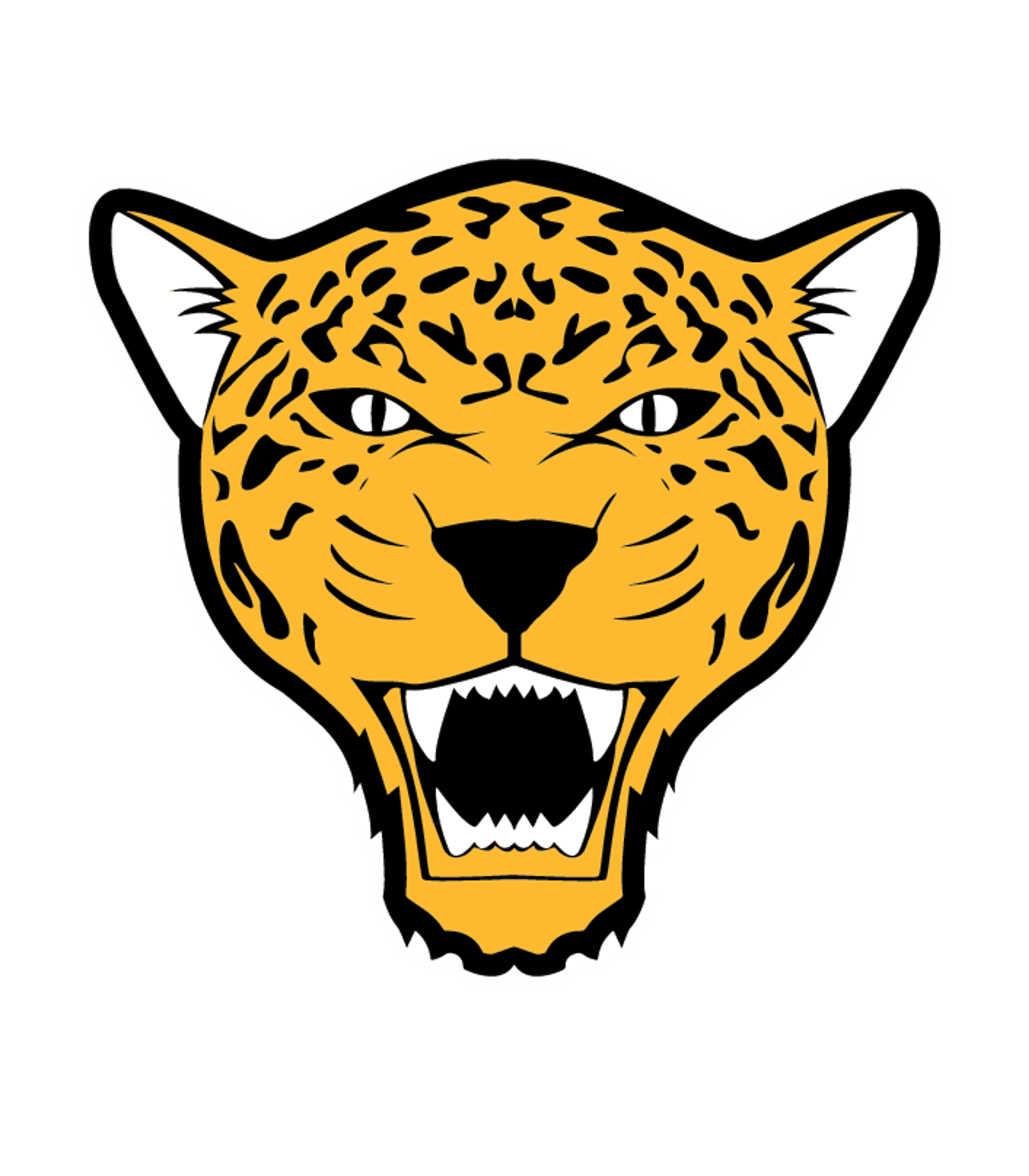 Toledo School For The Arts Logo