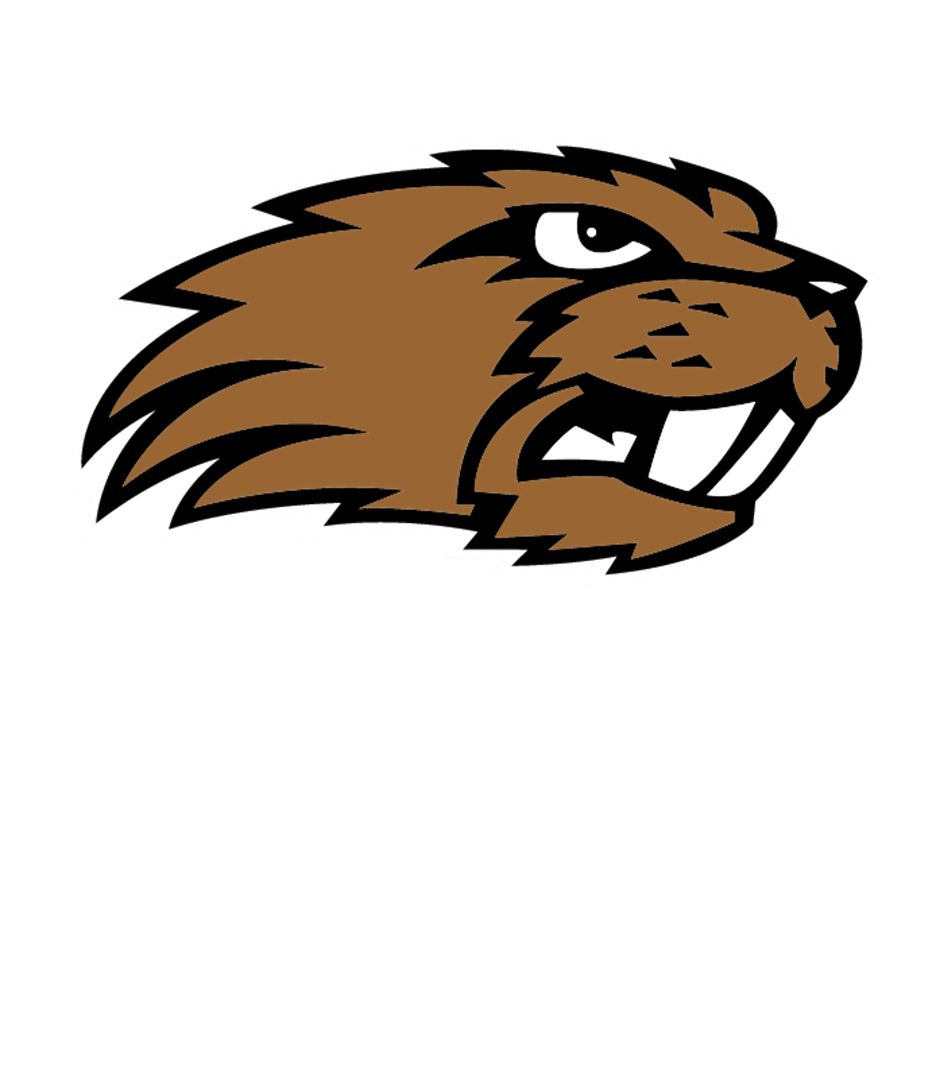 Beaver High Logo