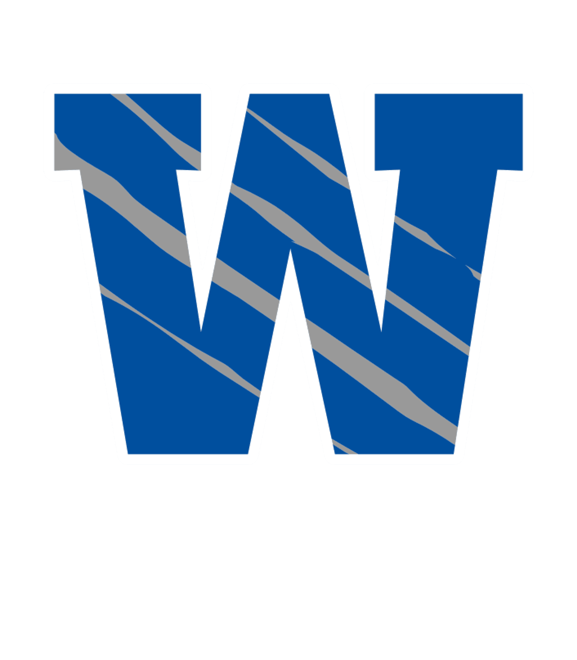 SOMERSET ACADEMY WELLINGTON HIGH SCHOOL Logo