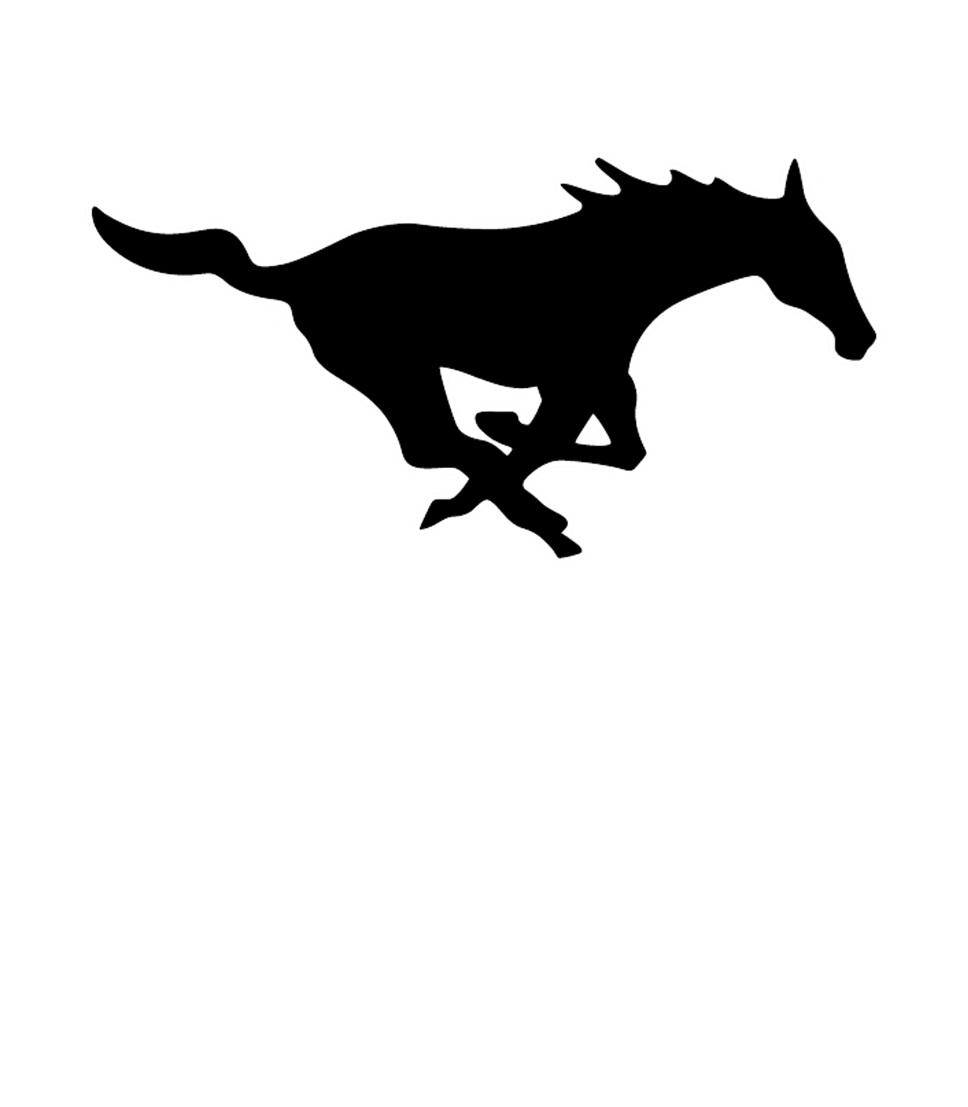 South Western SHS Logo