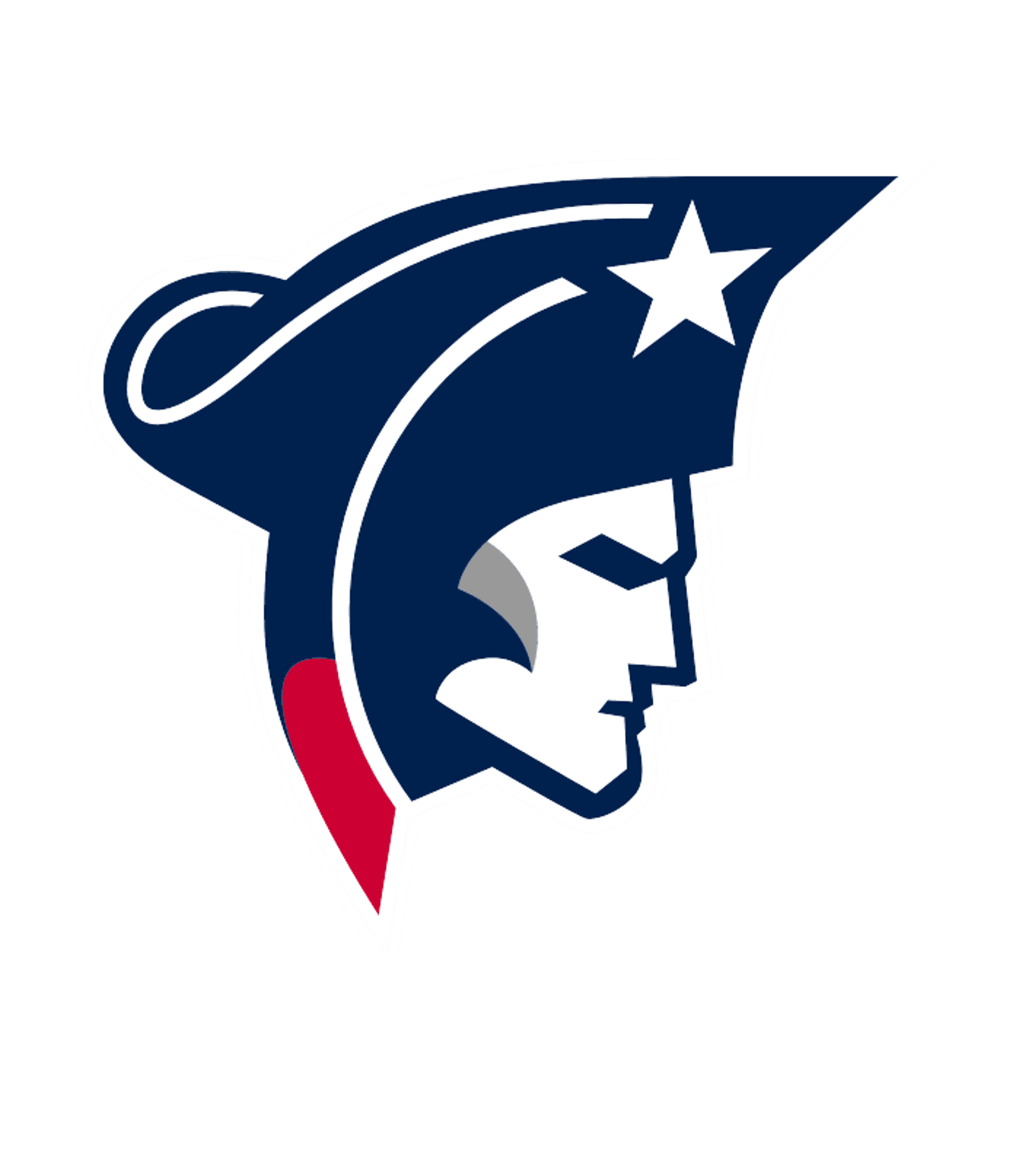 SOUTH FLORIDA YOUTH ACADEMY Logo
