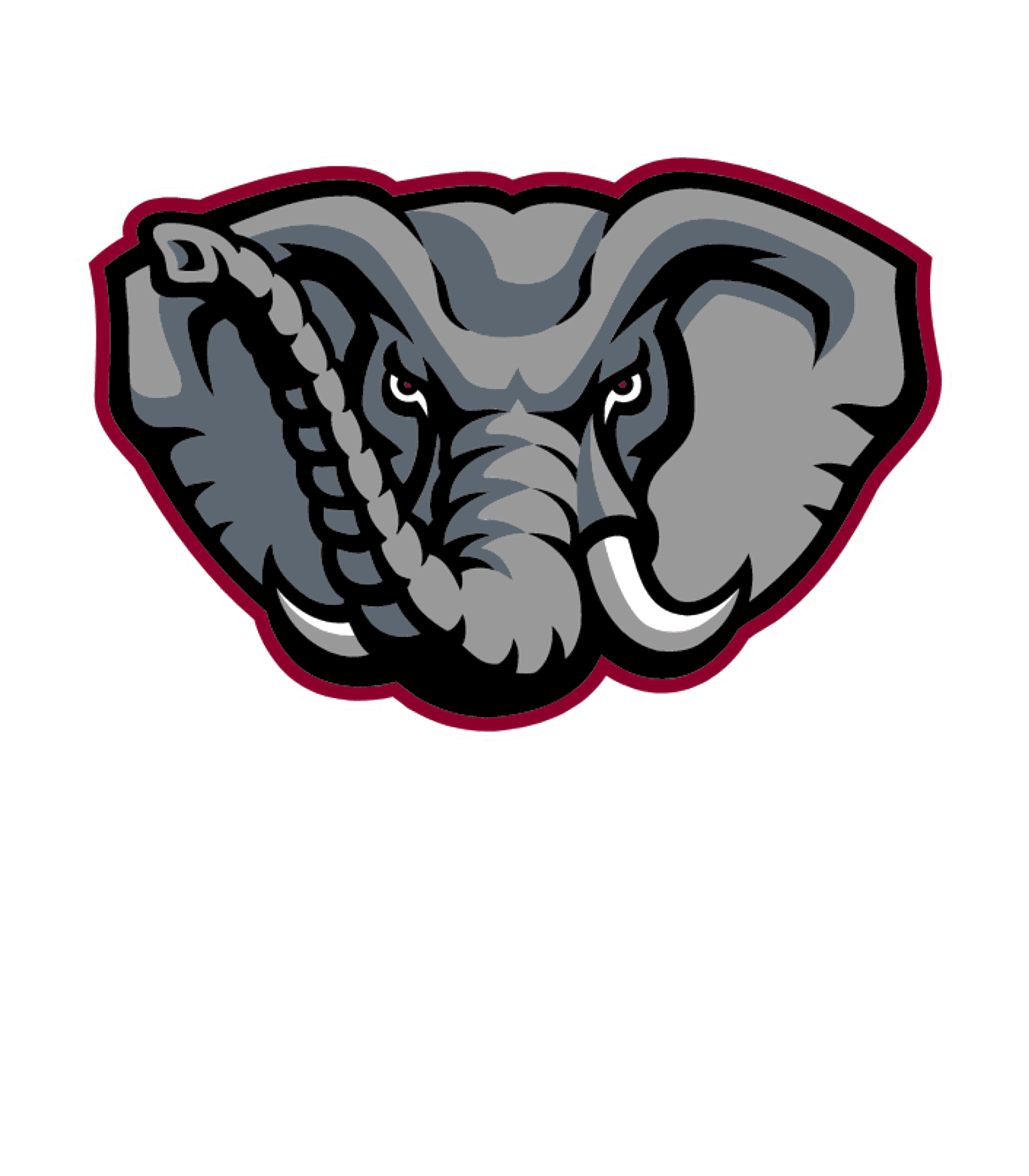 SOMERS SENIOR HIGH SCHOOL Logo