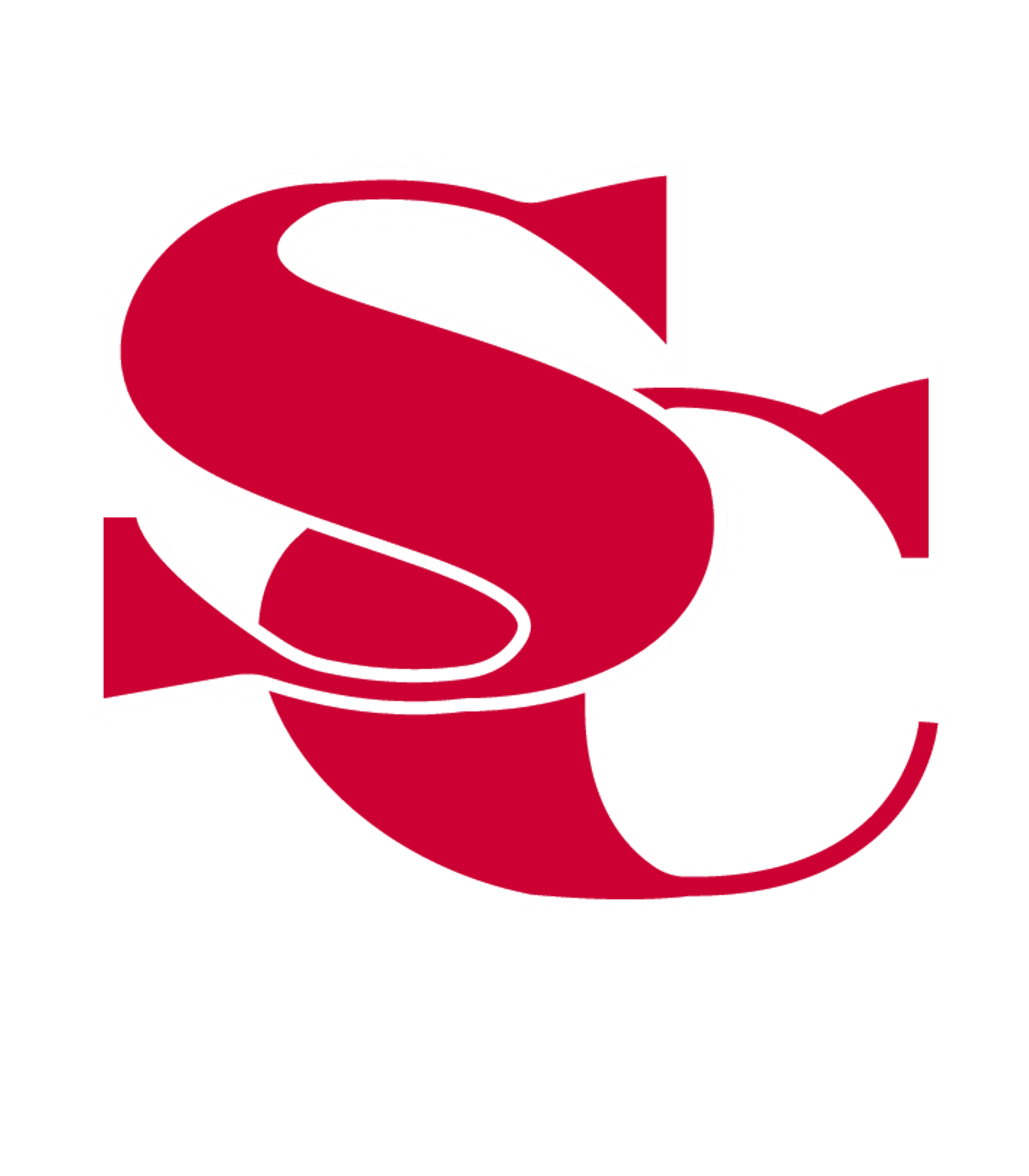 SOUTHERN CAYUGA  7-12 SECONDARY SCHOOL Logo