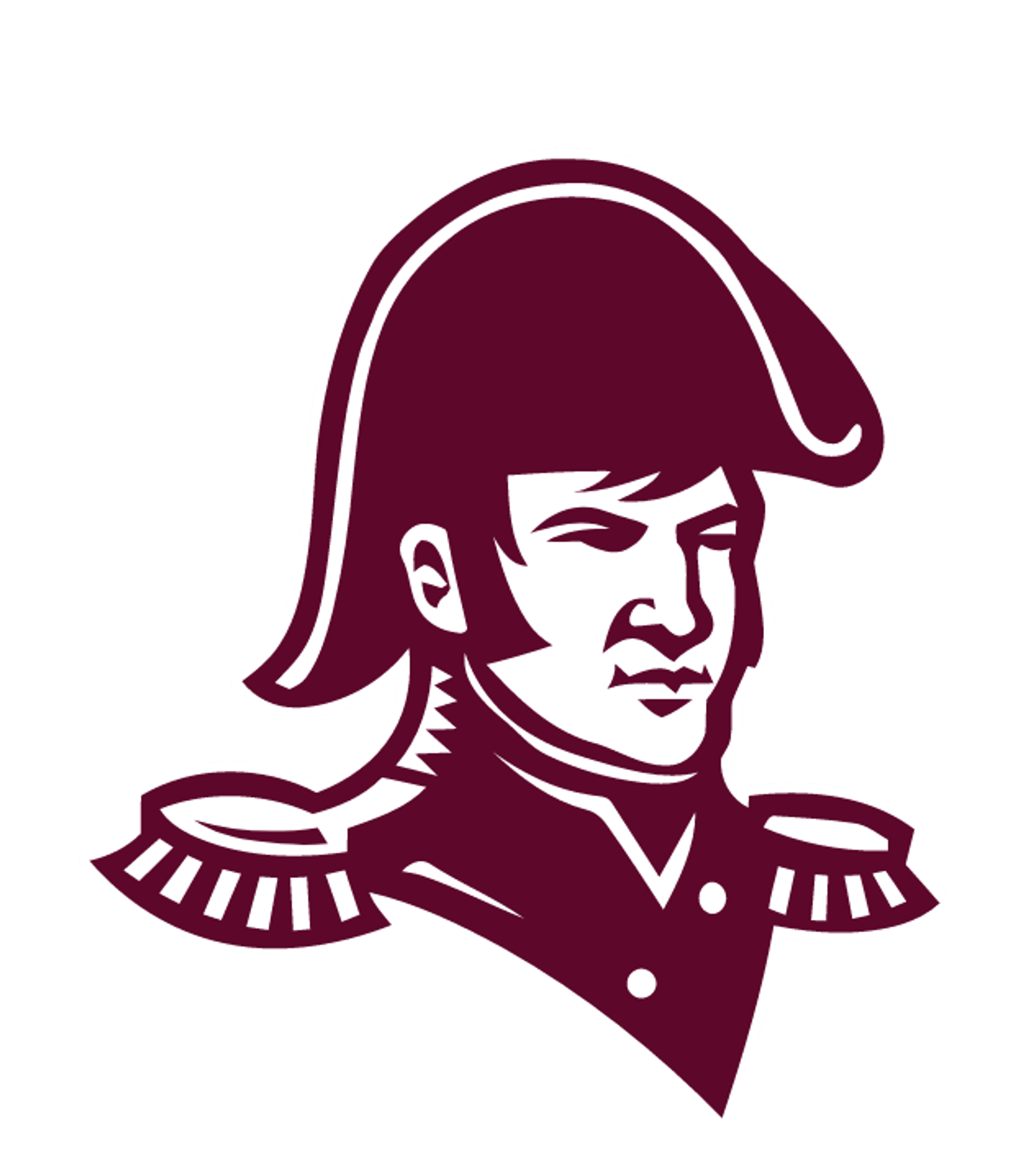 Towson High Logo