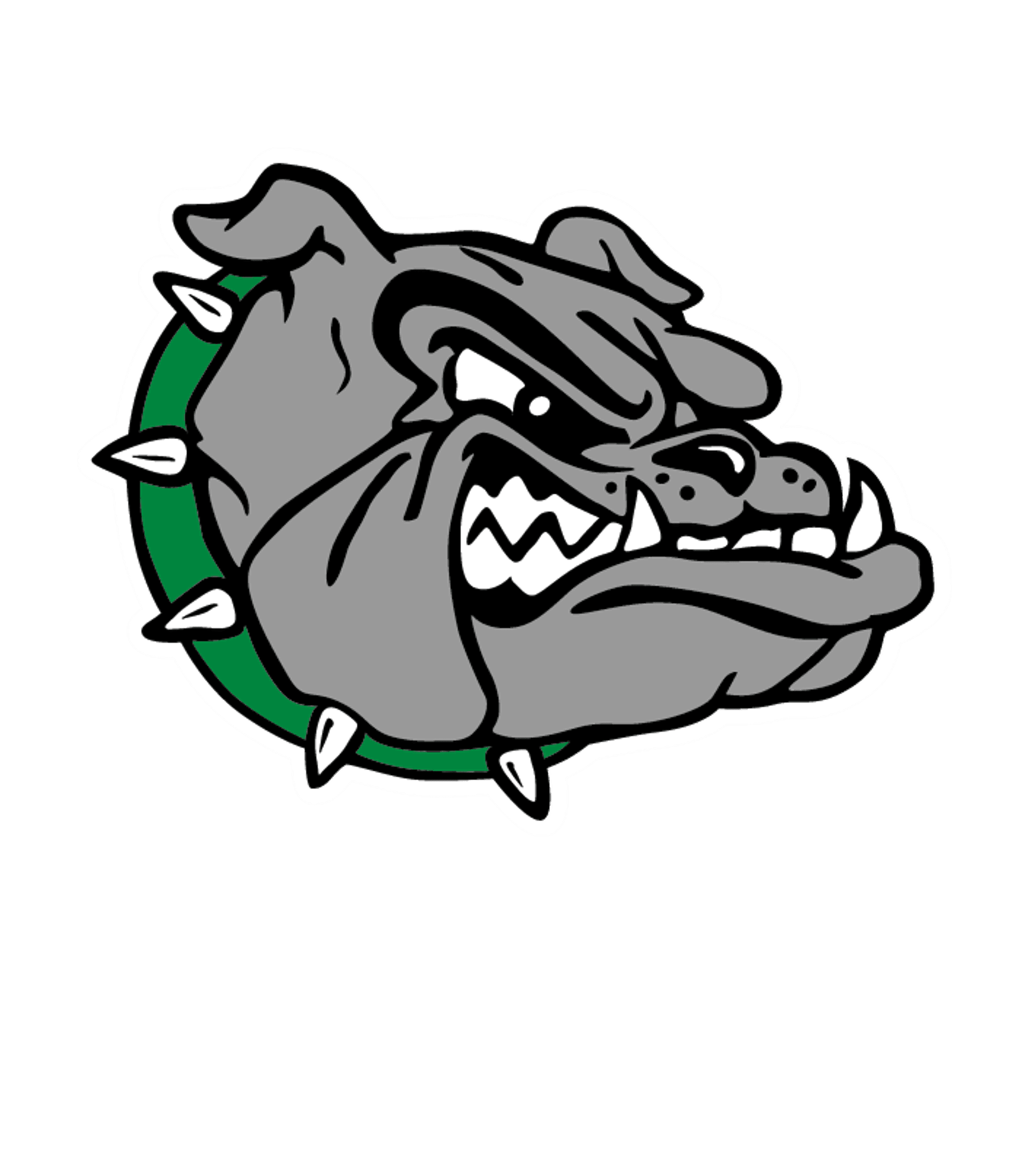 Virgin Valley HS Logo