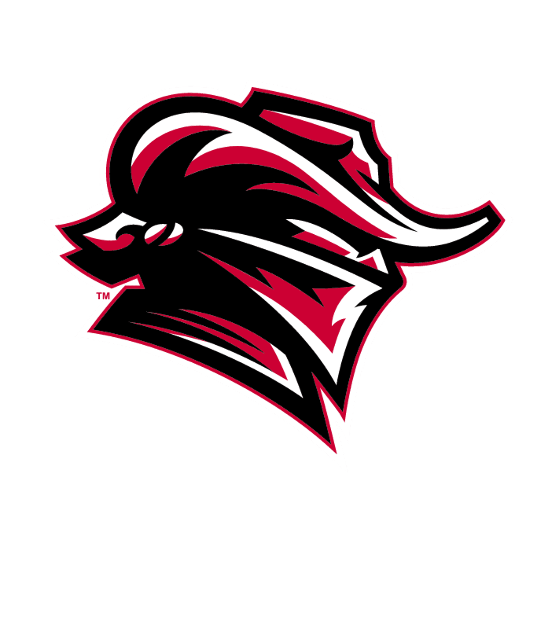 TYLER H S Logo