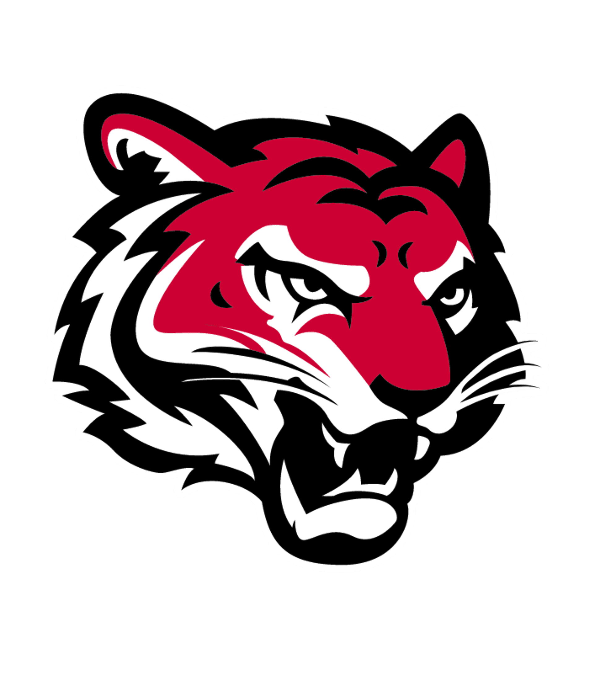 Tyngsborough High School Logo