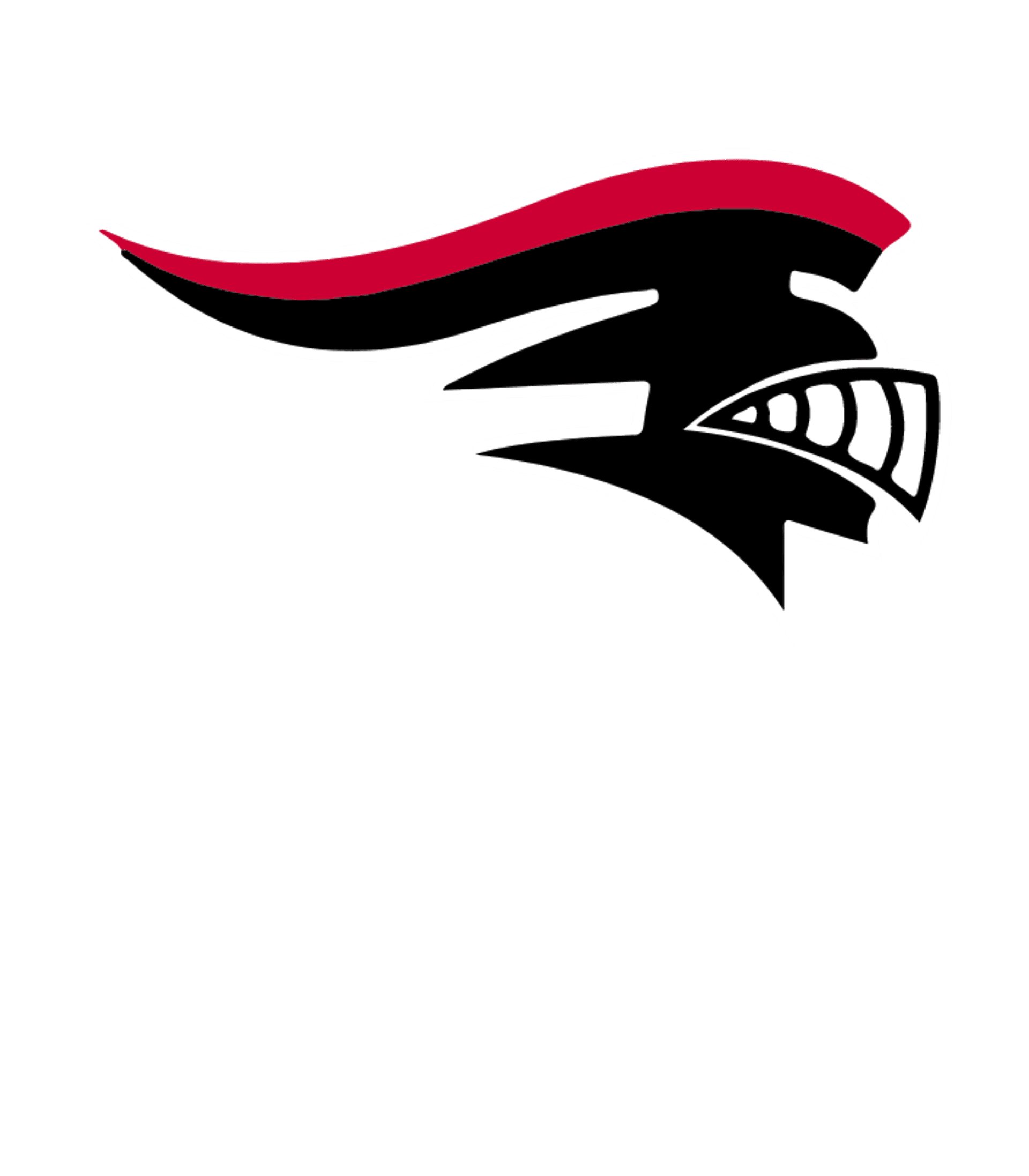 TULLY JUNIOR-SENIOR HIGH SCHOOL Logo