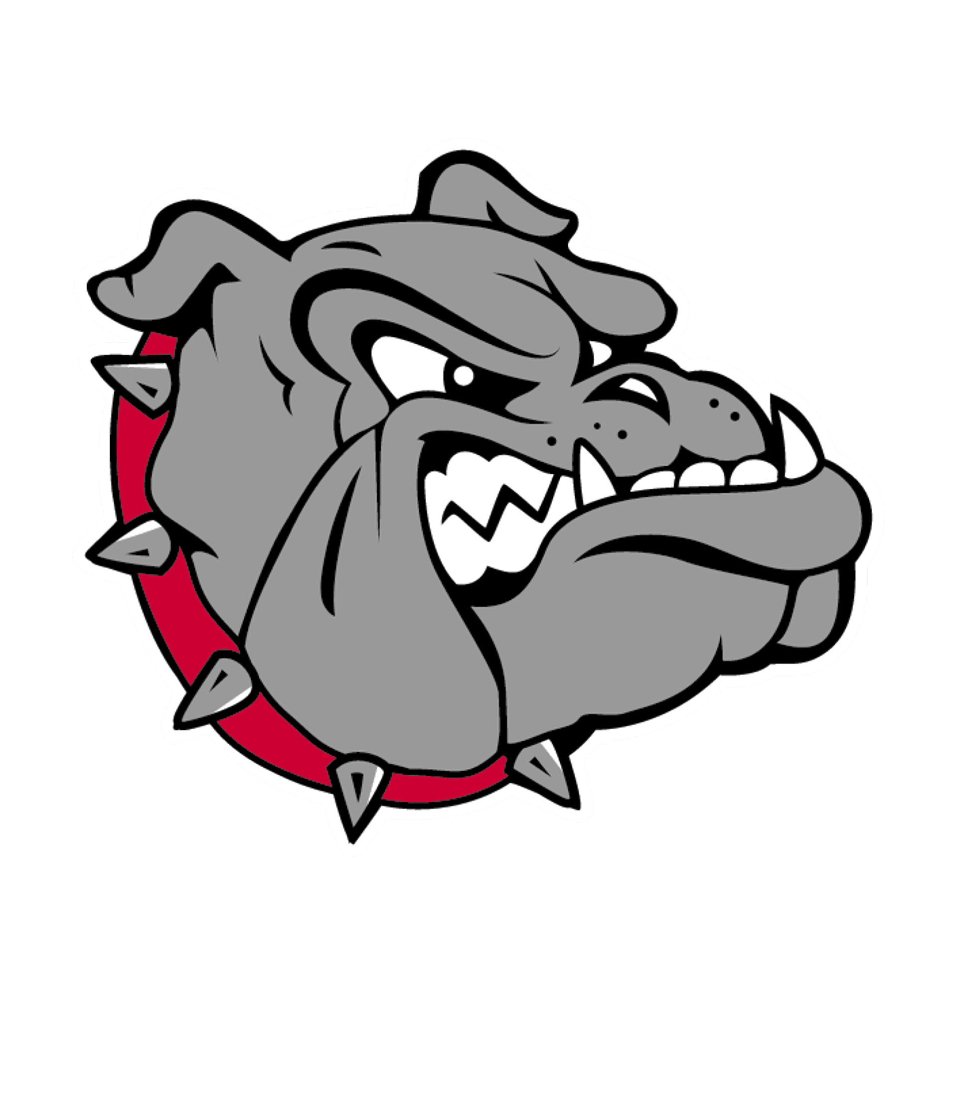 Vicksburg High School Logo