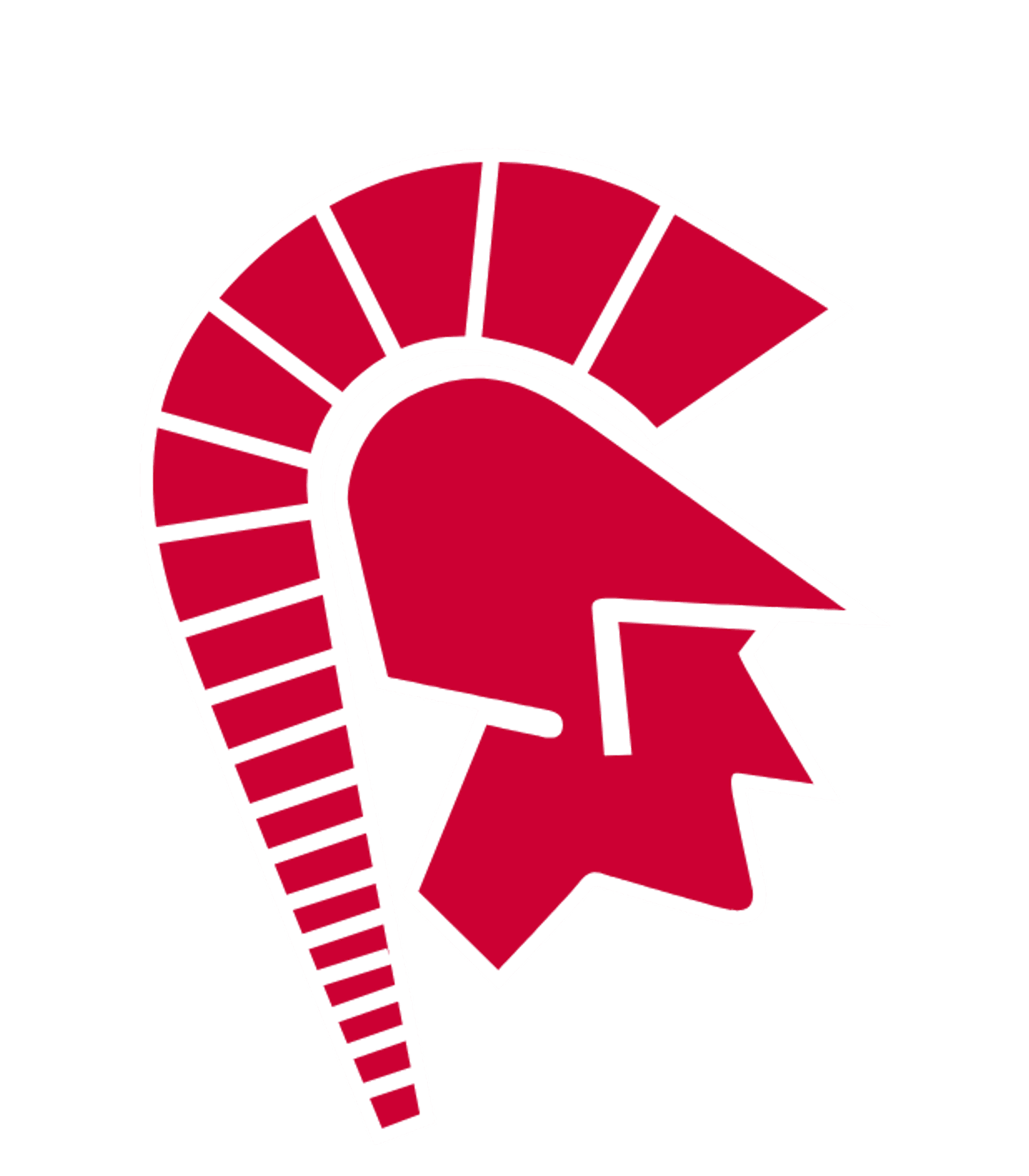 SOUTHWESTERN SENIOR HIGH SCHOOL Logo