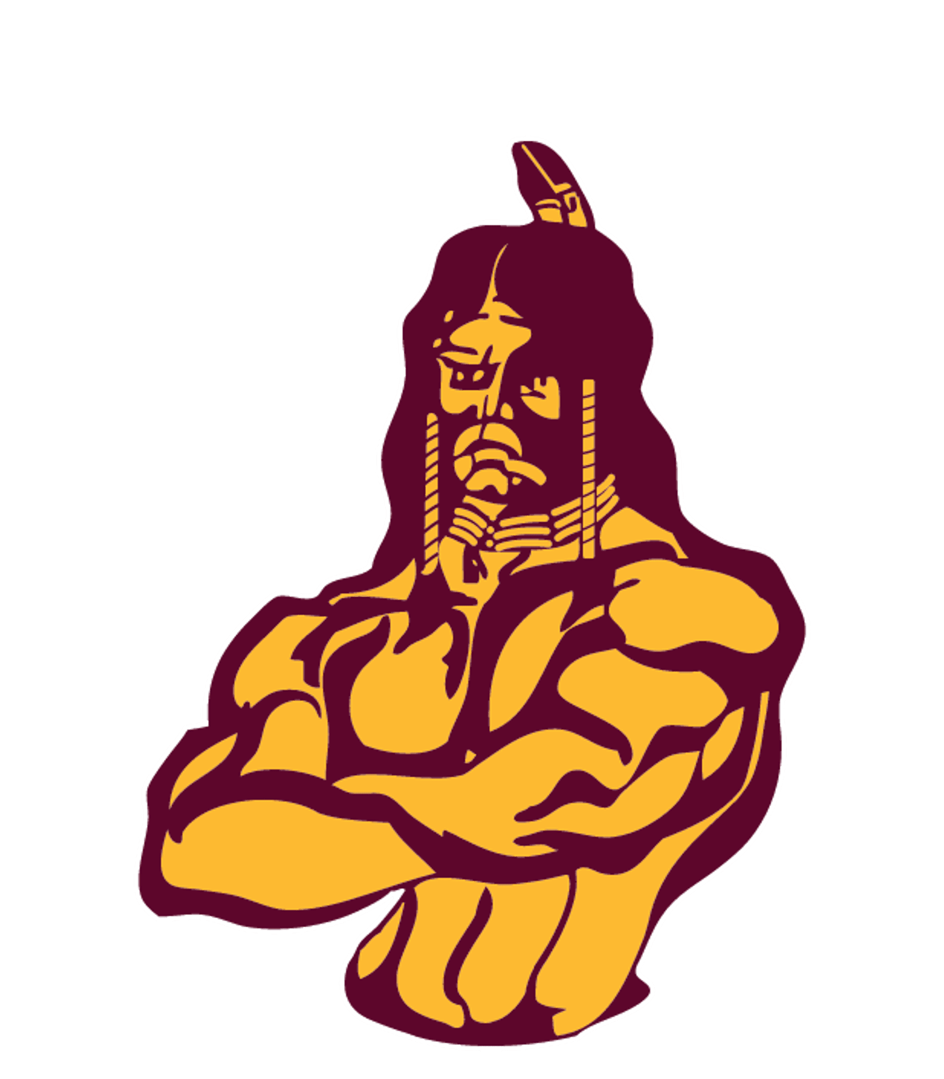 TURTLE MOUNTAIN COMMUNITY HIGH SCHOOL Logo