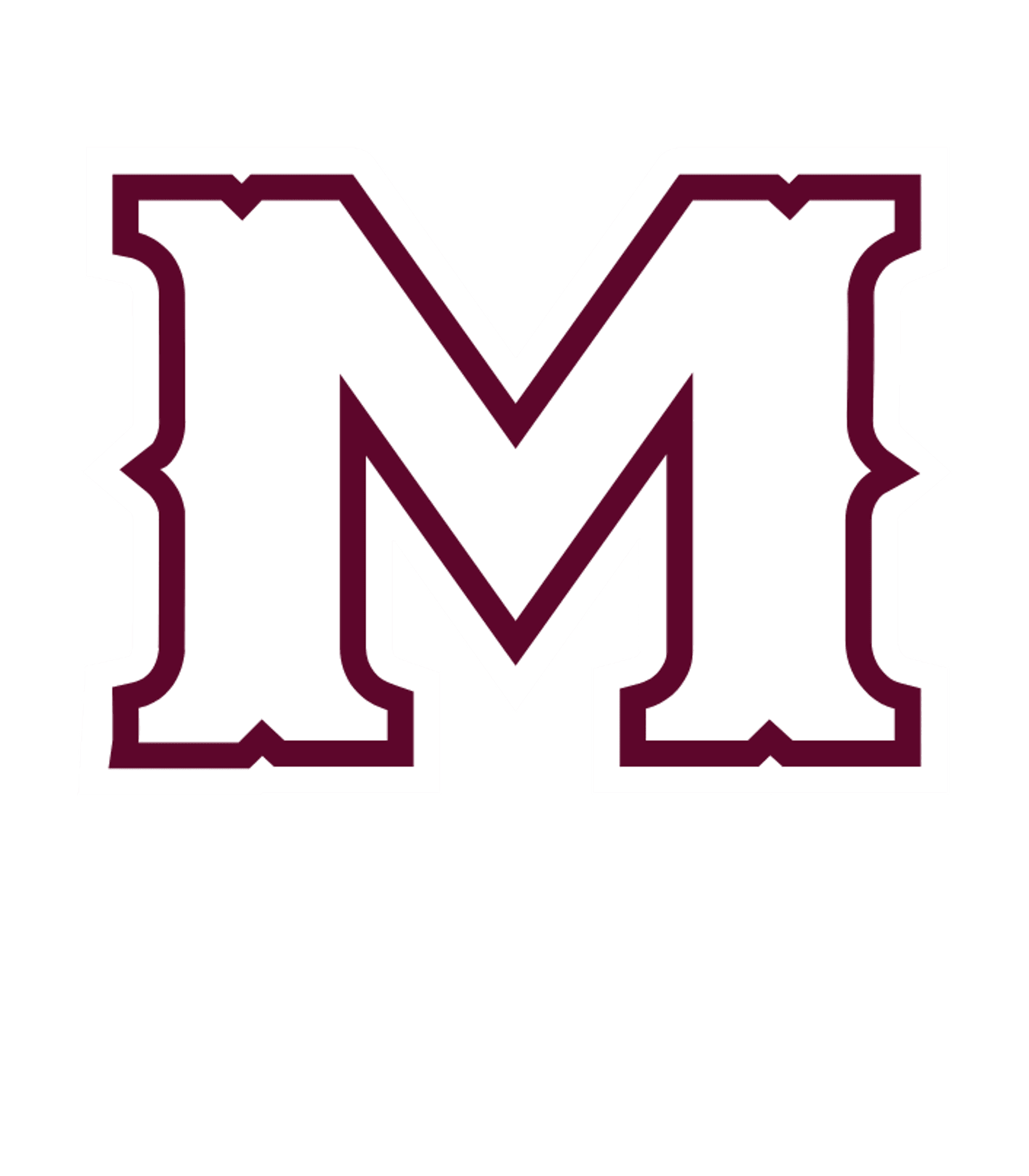 WELLINGTON C MEPHAM HIGH SCHOOL Logo