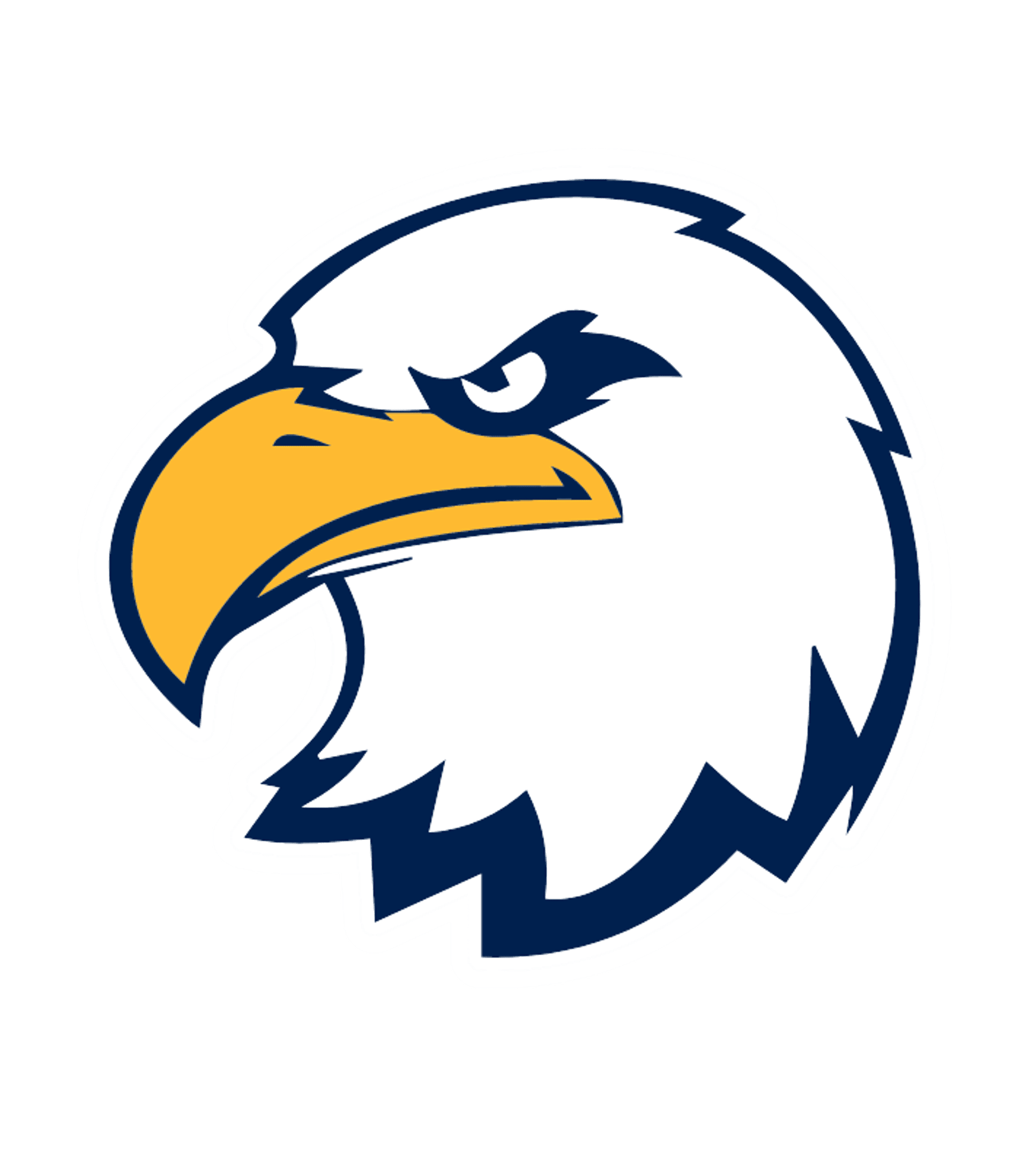 WAYNE SENIOR HIGH SCHOOL Logo