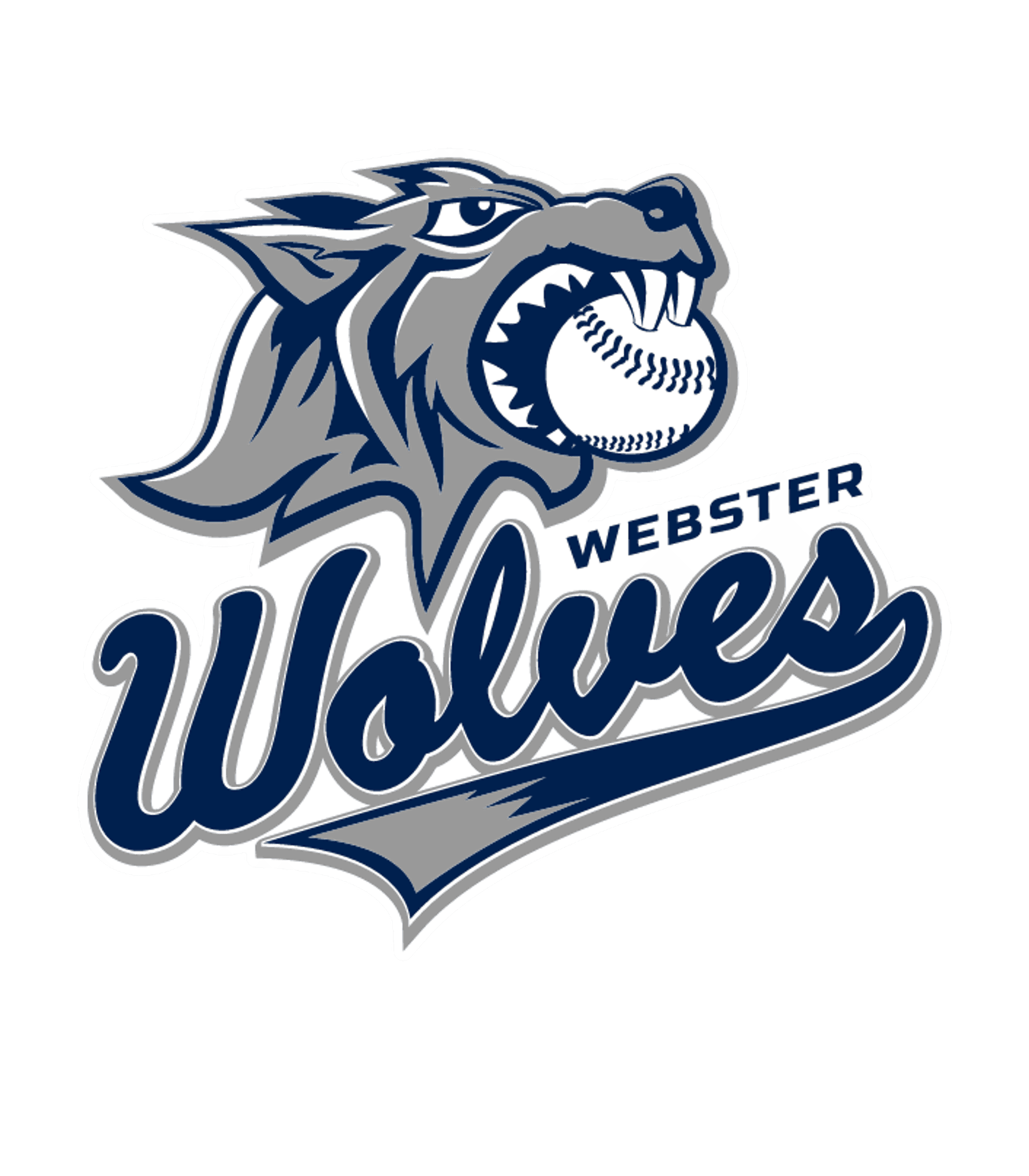 WEBSTER-SCHROEDER HIGH SCHOOL Logo