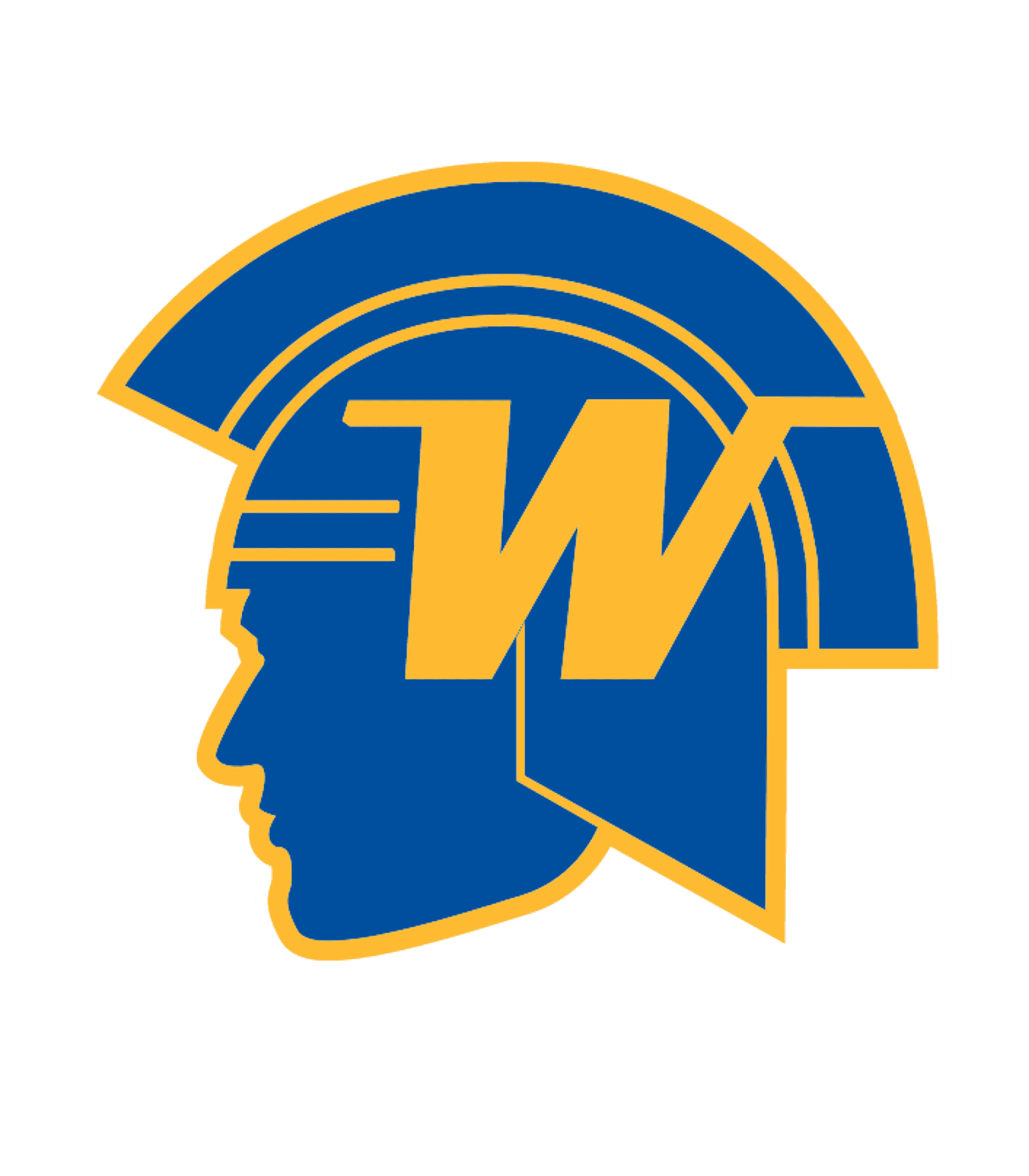Wayzata Online Logo