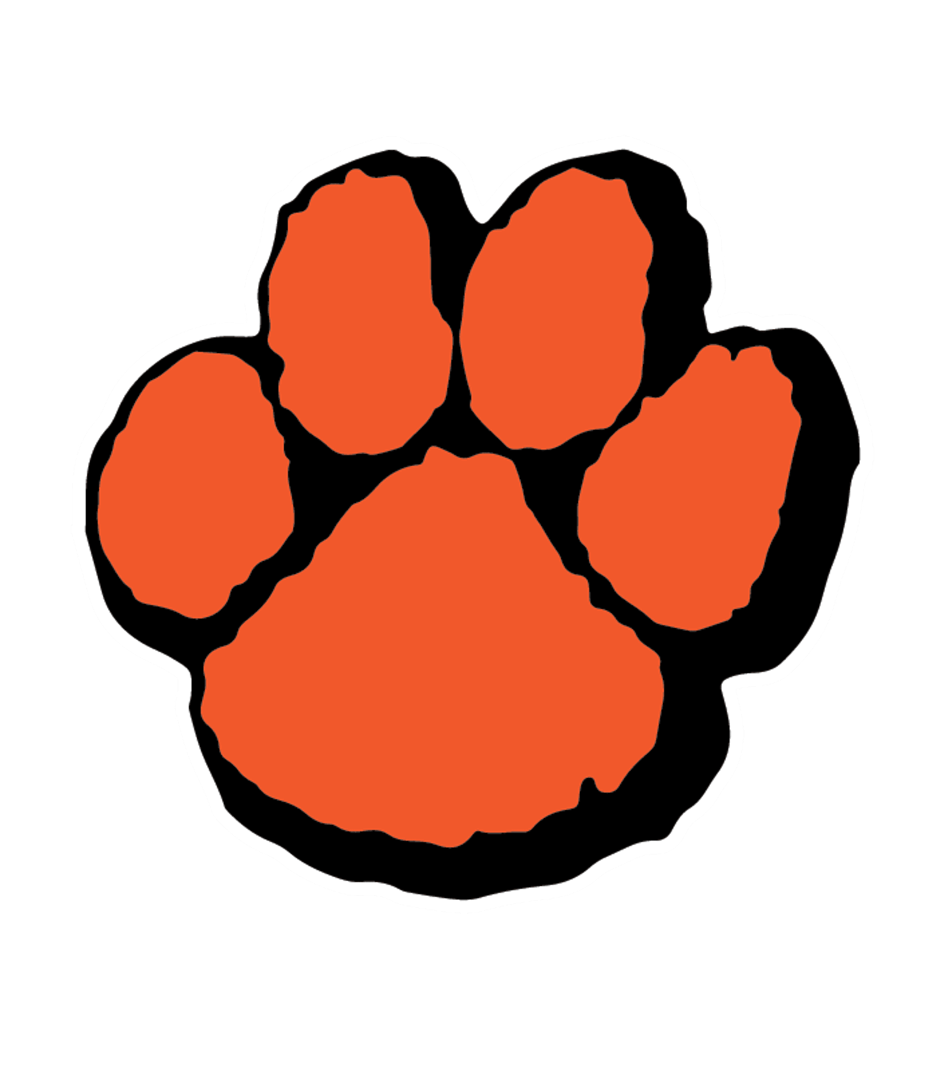 Wheaton North High School Logo