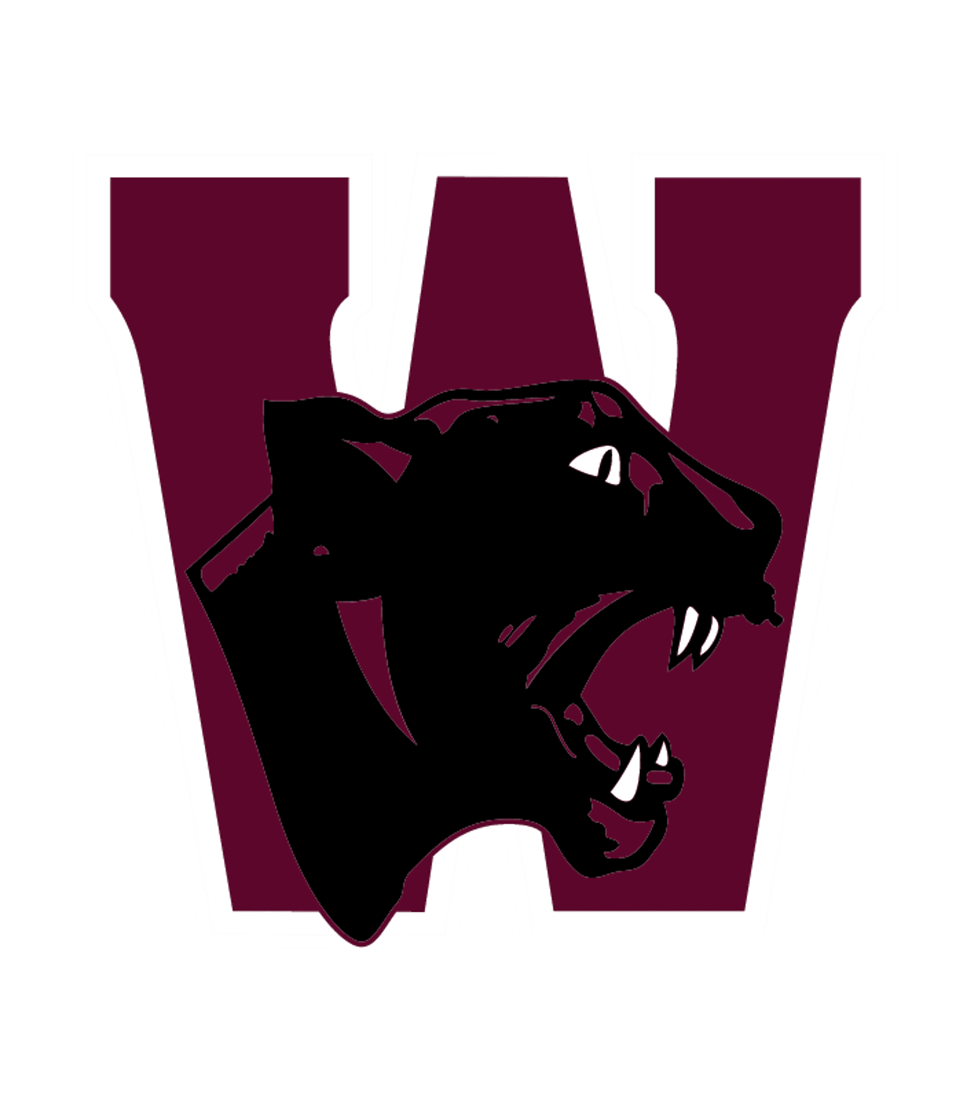 WAY Watervliet High School Logo