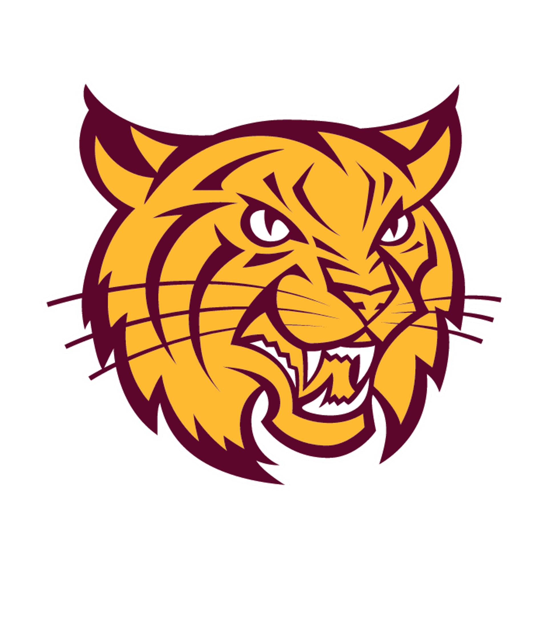 Weymouth High School Logo