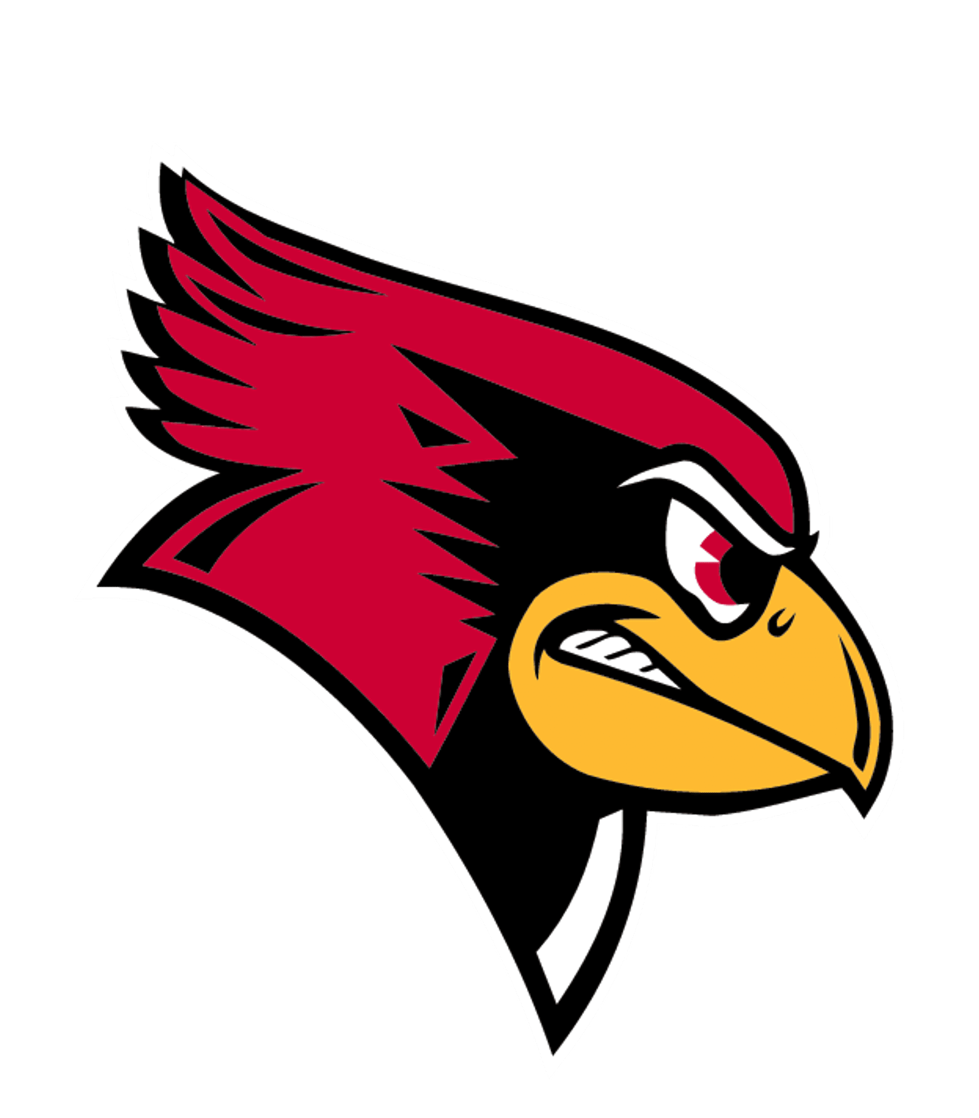 WINSTON HIGH Logo