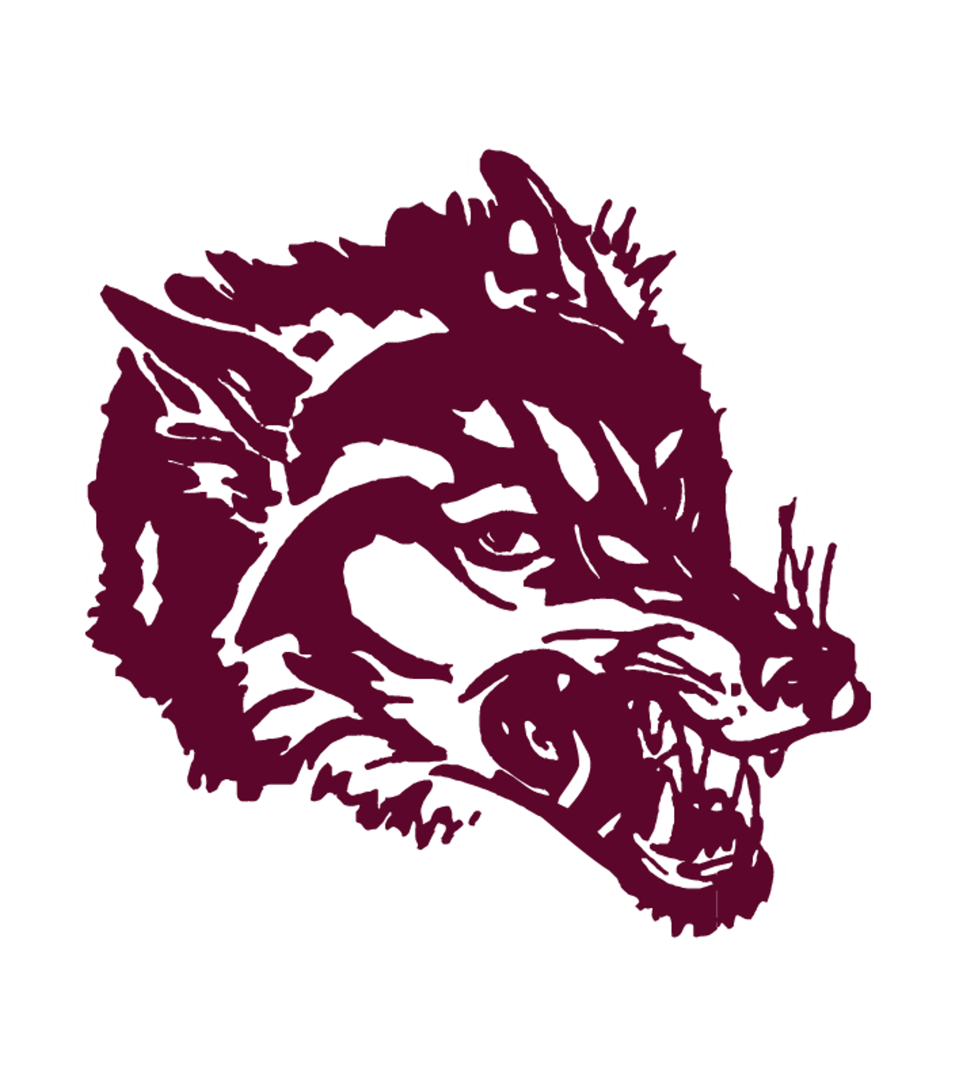 Winneconne High Logo