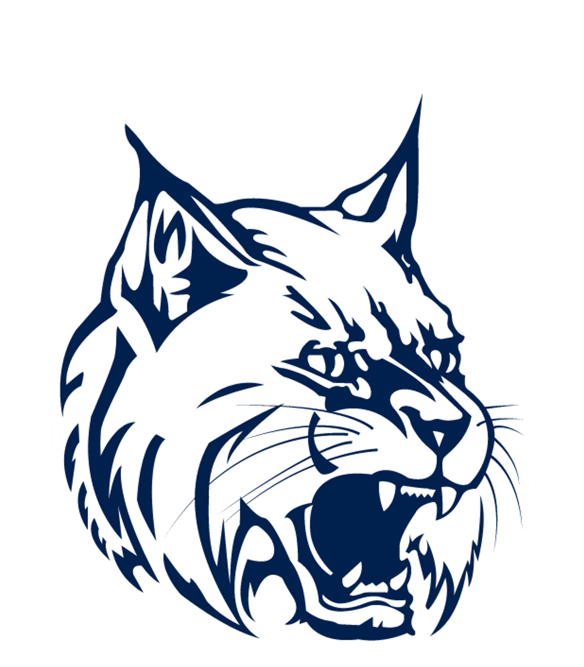 YCCS-West Town Academy Alt HS Logo