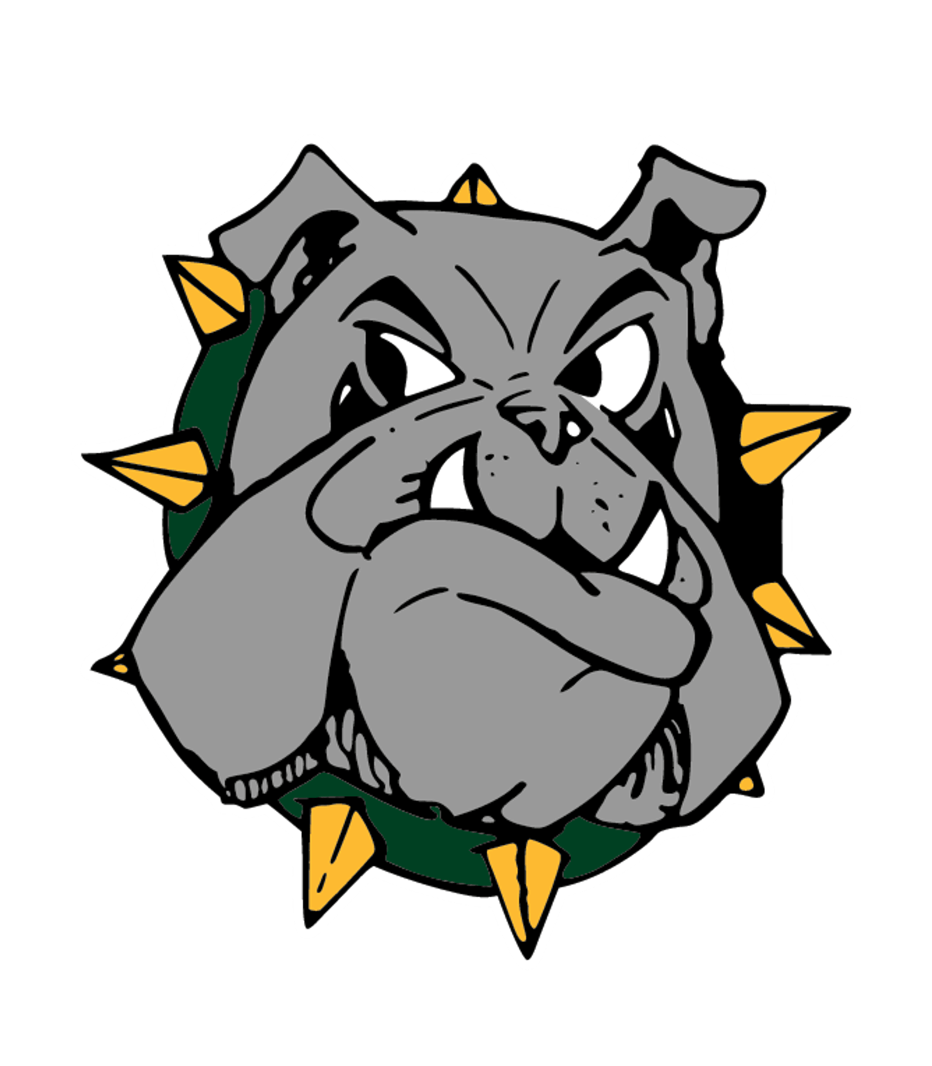 ZALMA HIGH Logo