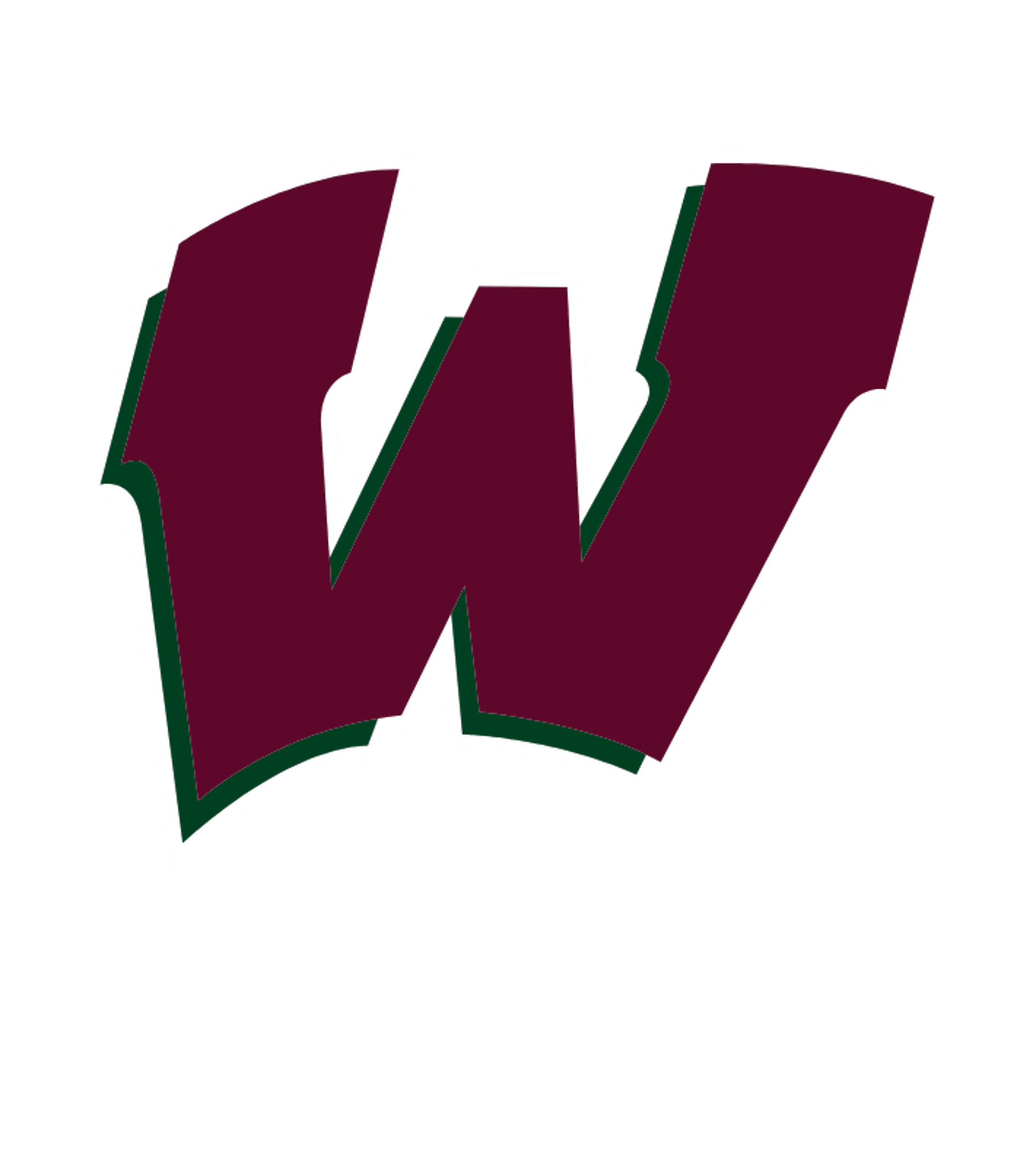 WYLIE H S Logo