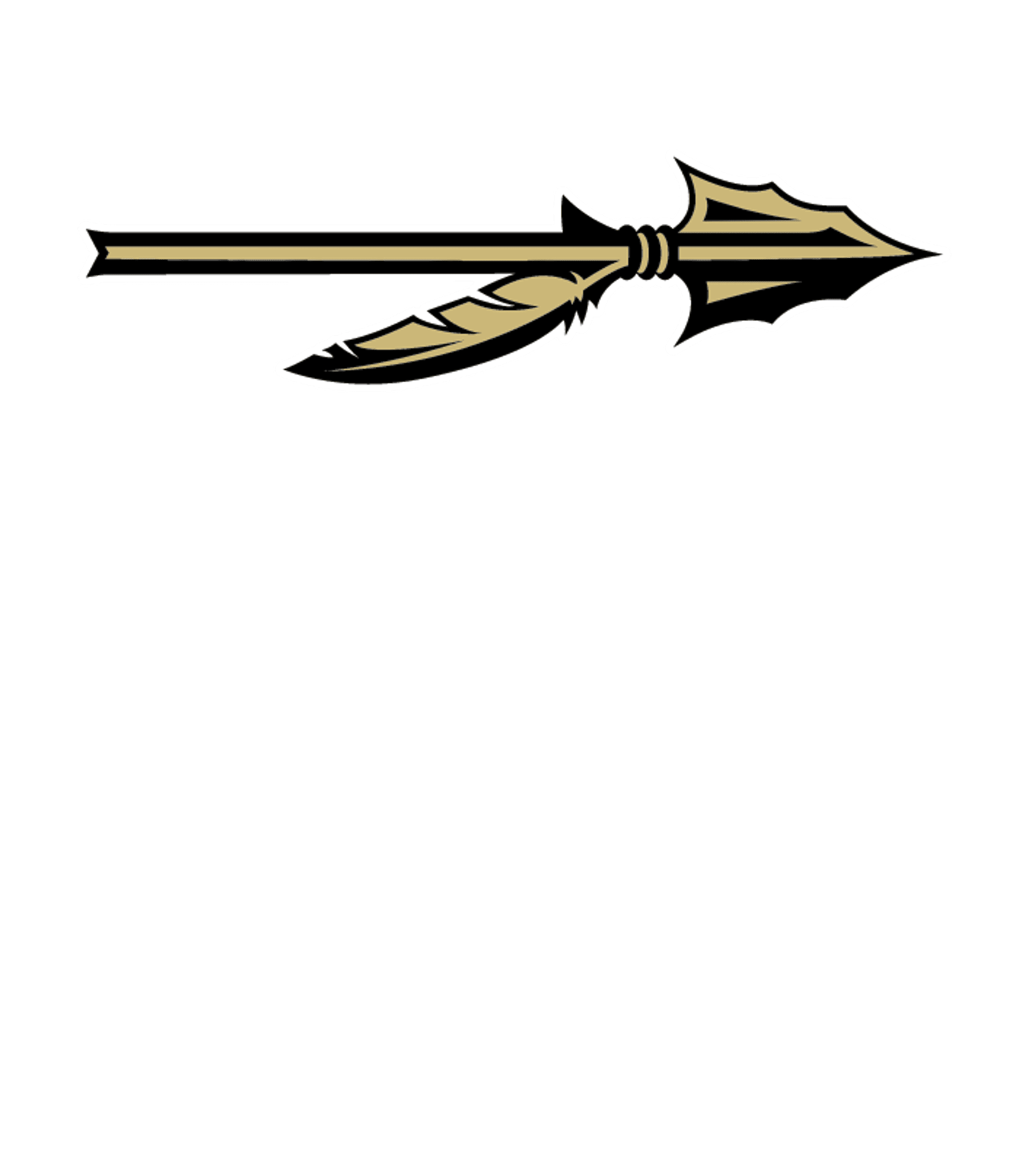 WP Davidson High School Logo