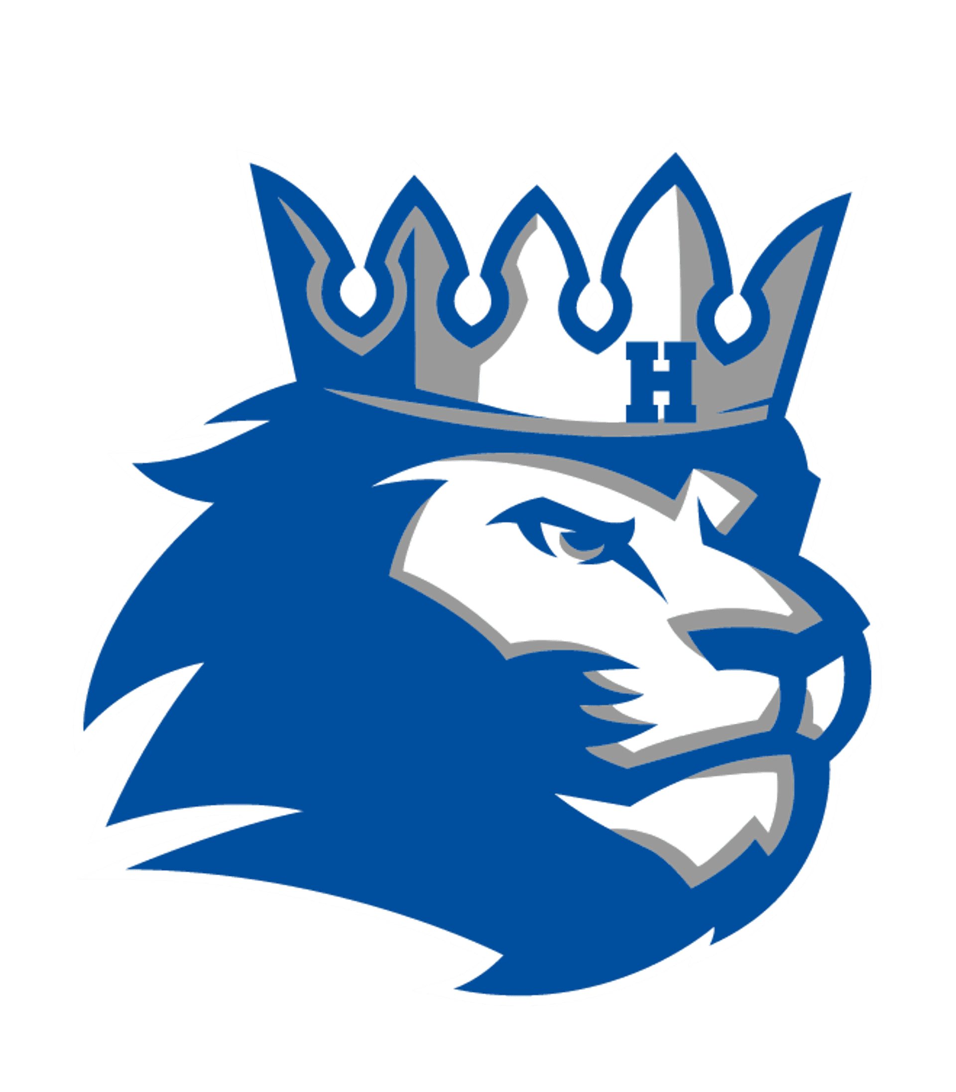 270 HOPKINS ALTERNATIVE Logo