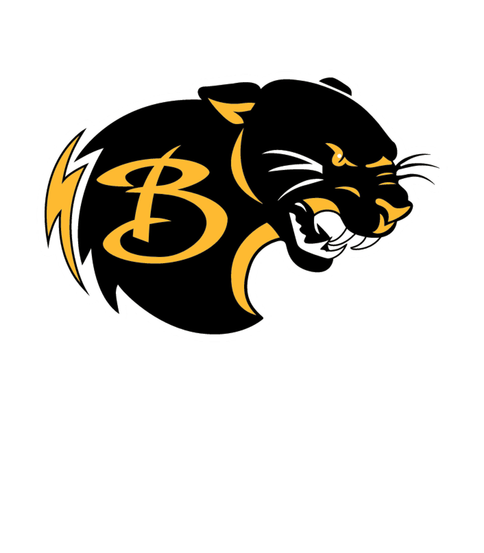 Baldwin Senior High School Logo