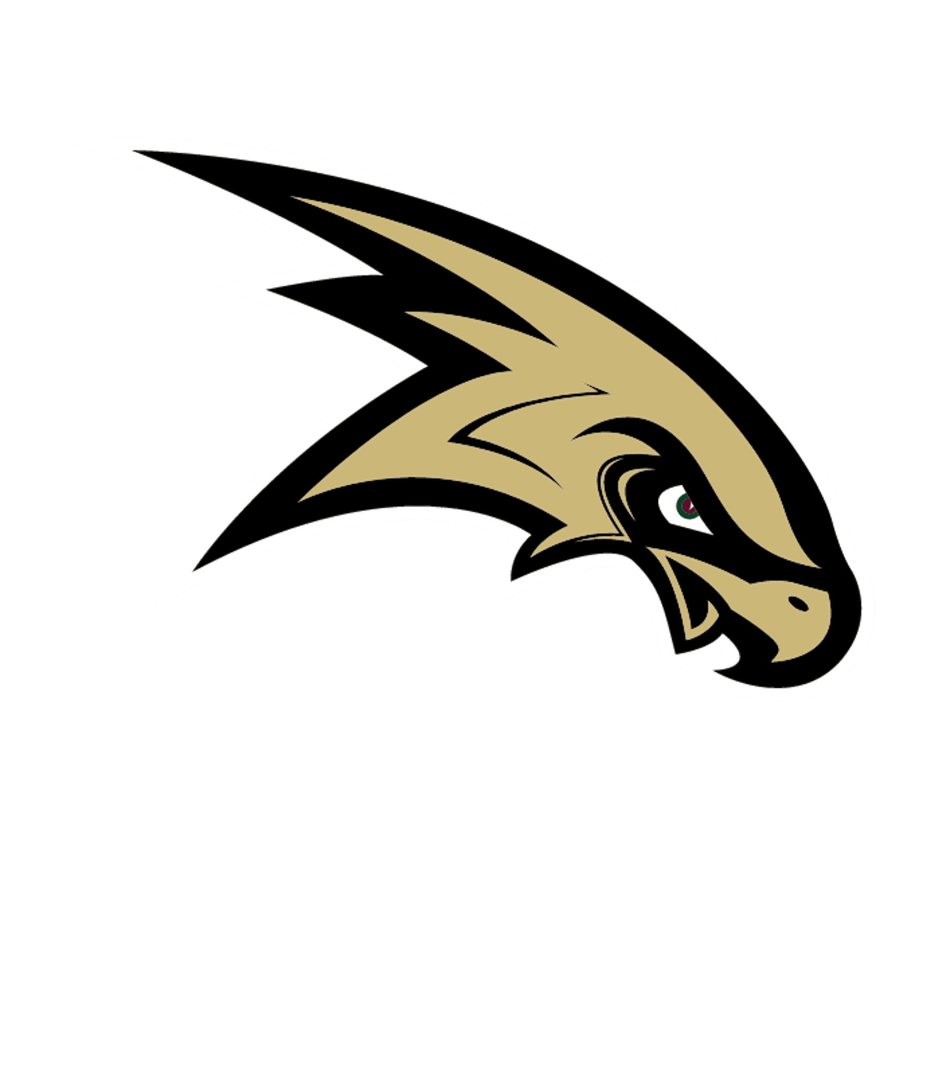 CORNING PAINTED POST HIGH SCHOOL LEARNING CENTER Logo