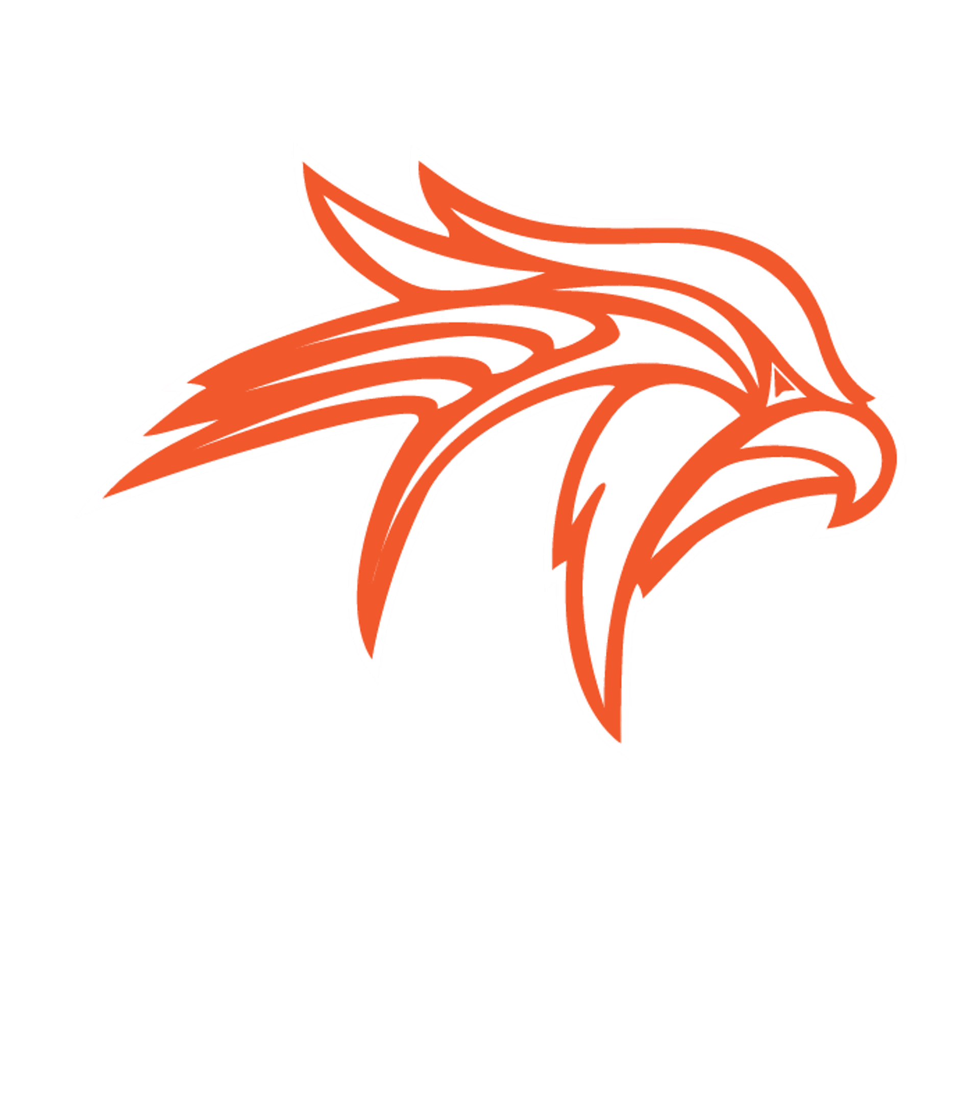 Fennville Public High School Logo