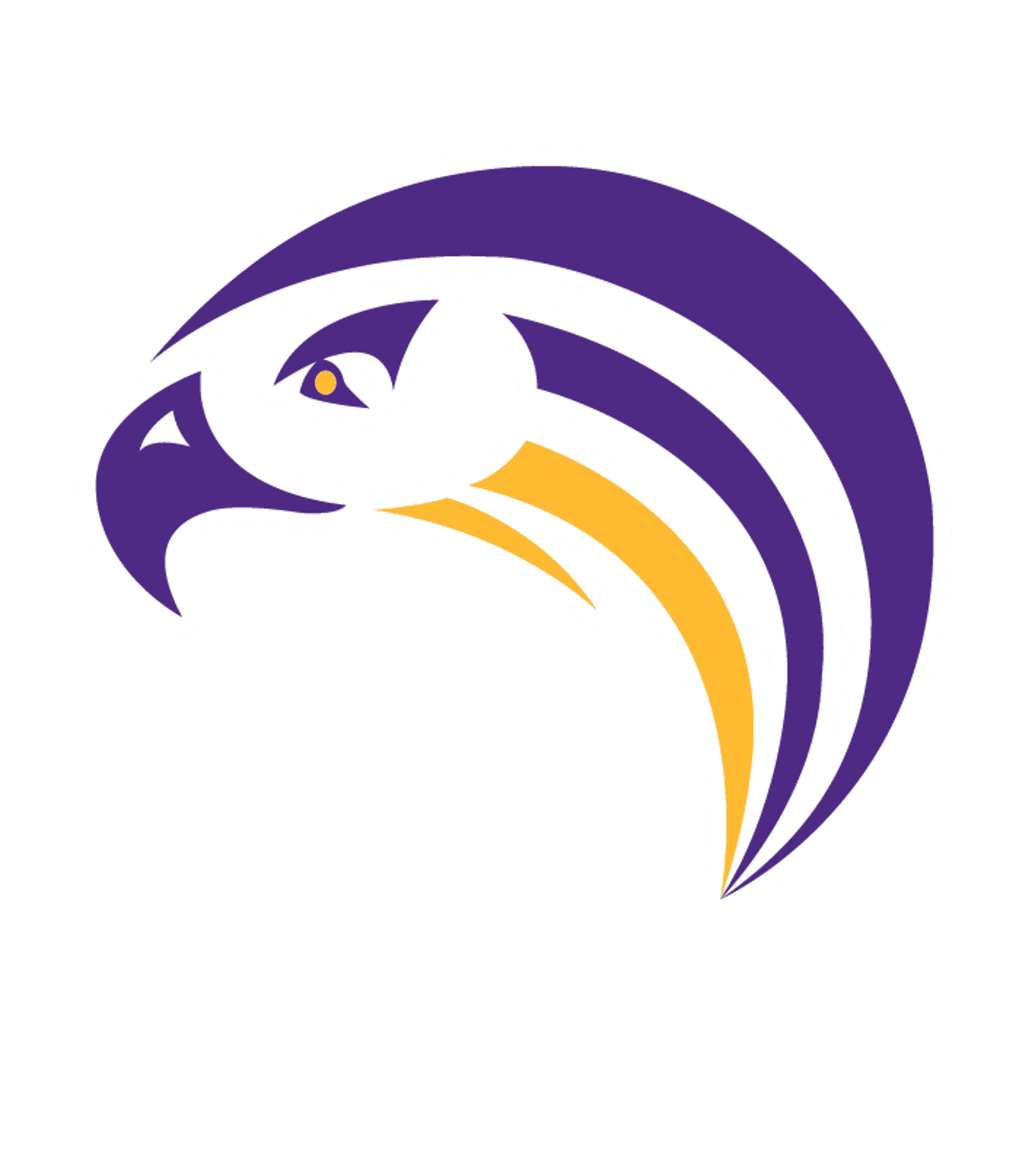 Aiken New Tech High School Logo
