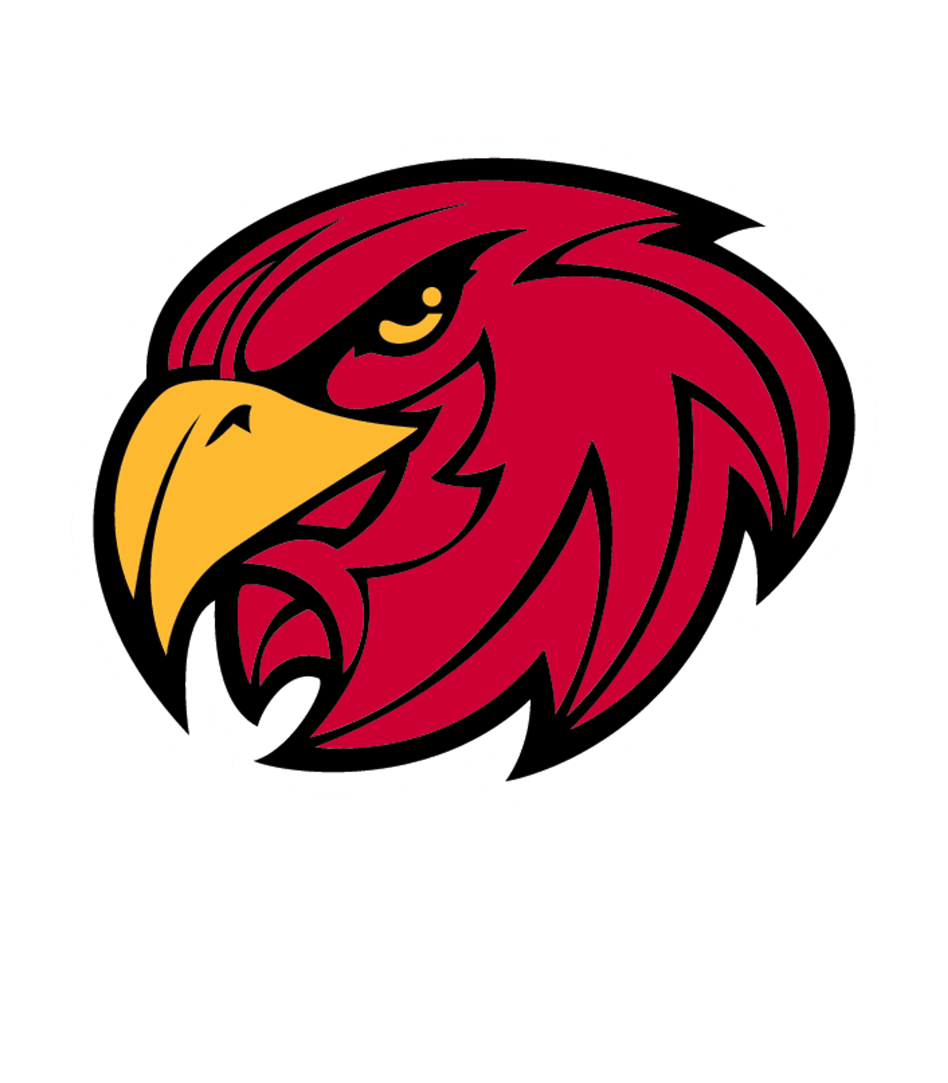 LETO HIGH SCHOOL Logo