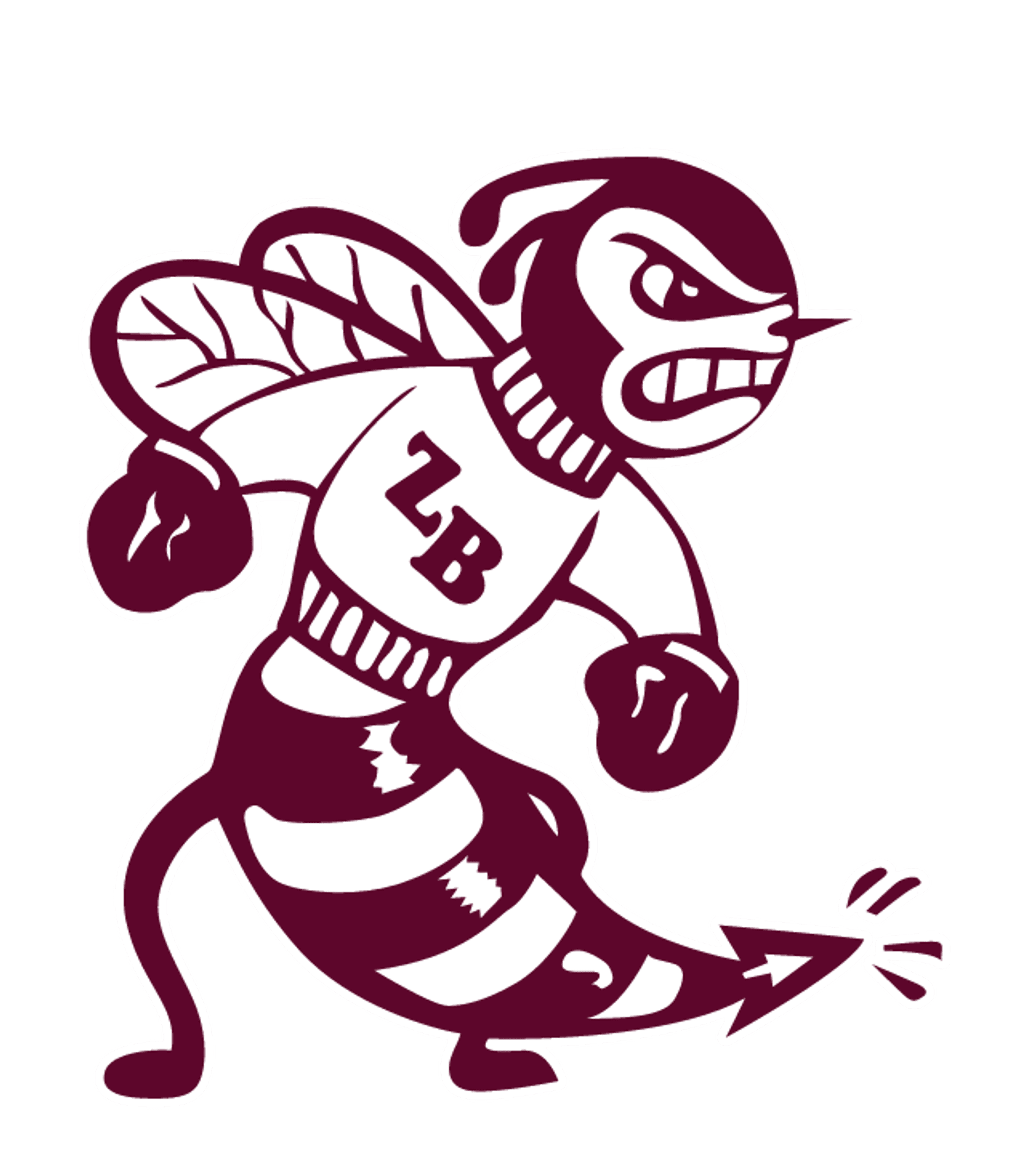 Mt Zion High School Logo