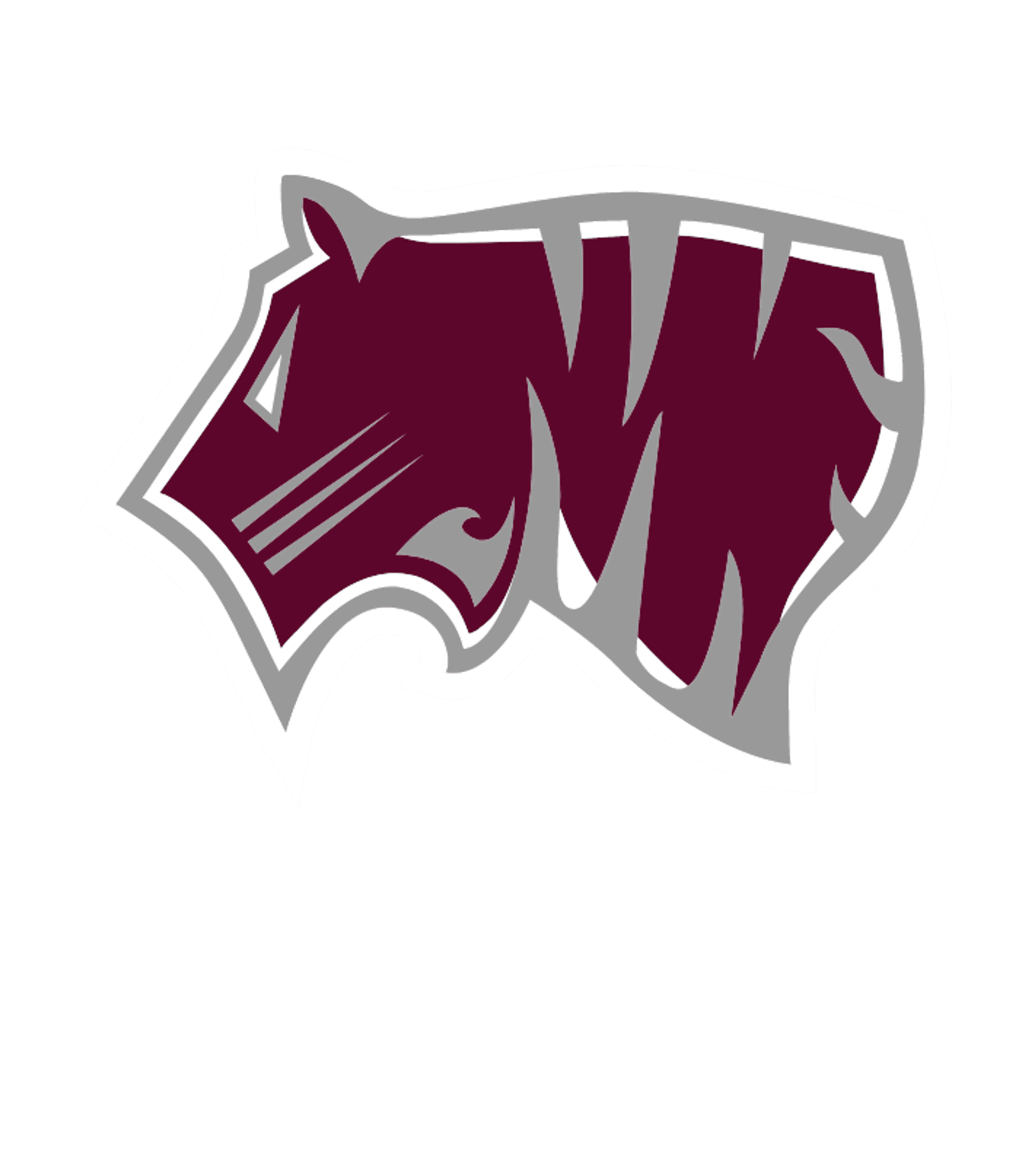Charles A Tindley Accelerated Sch Logo
