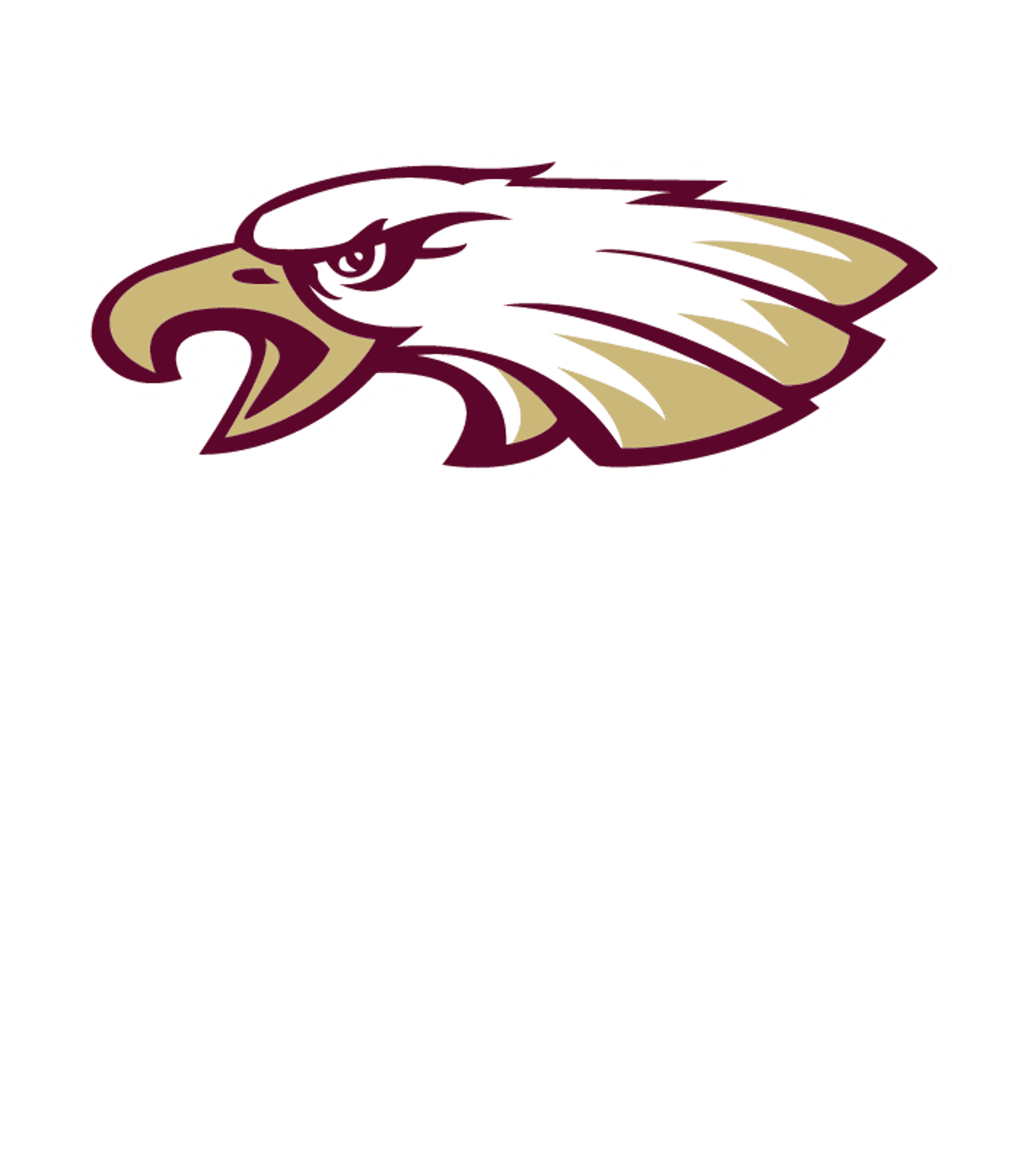 AMIKIDS JACKSONVILLE Logo