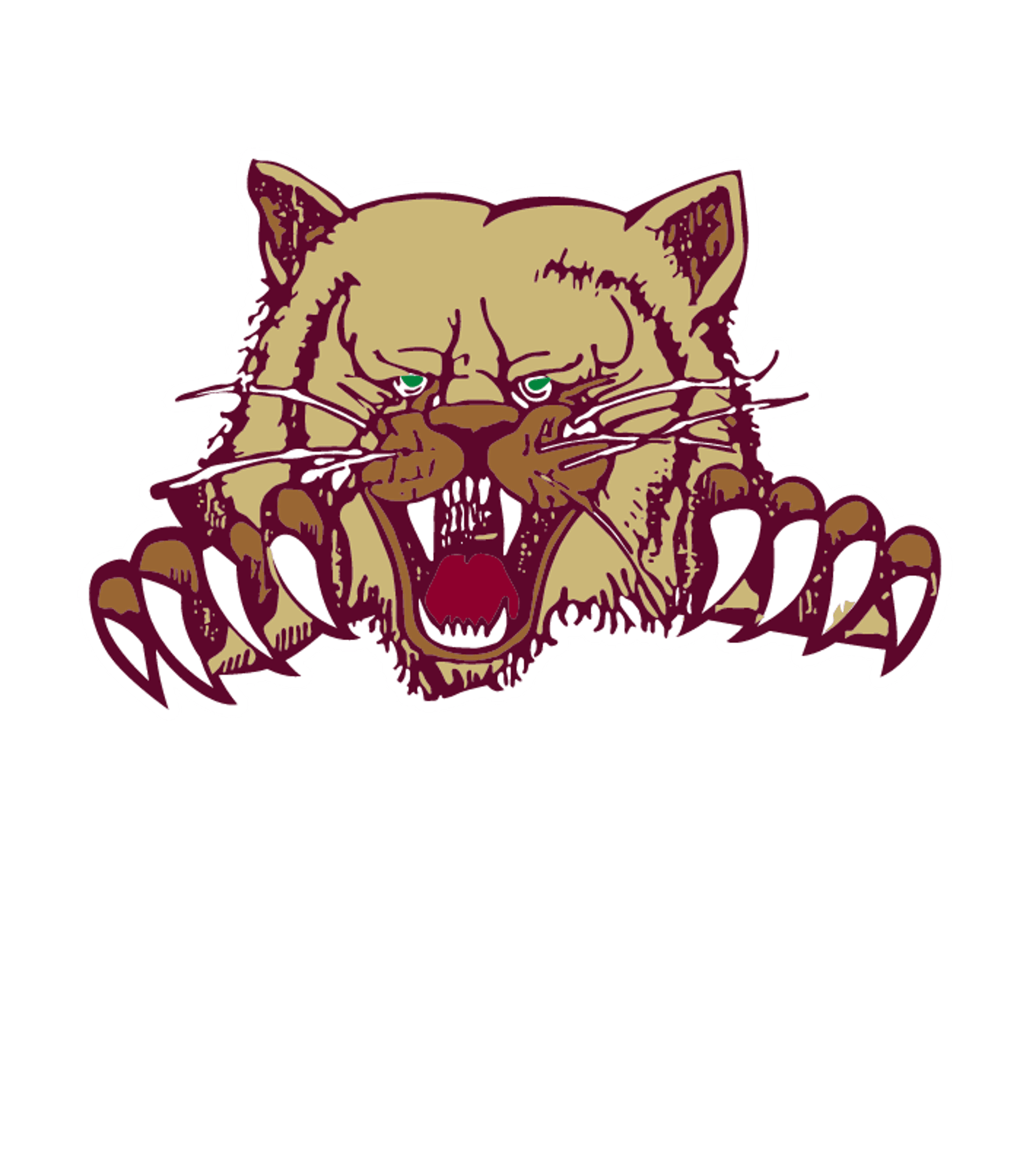 CVIT - Ray High School Logo