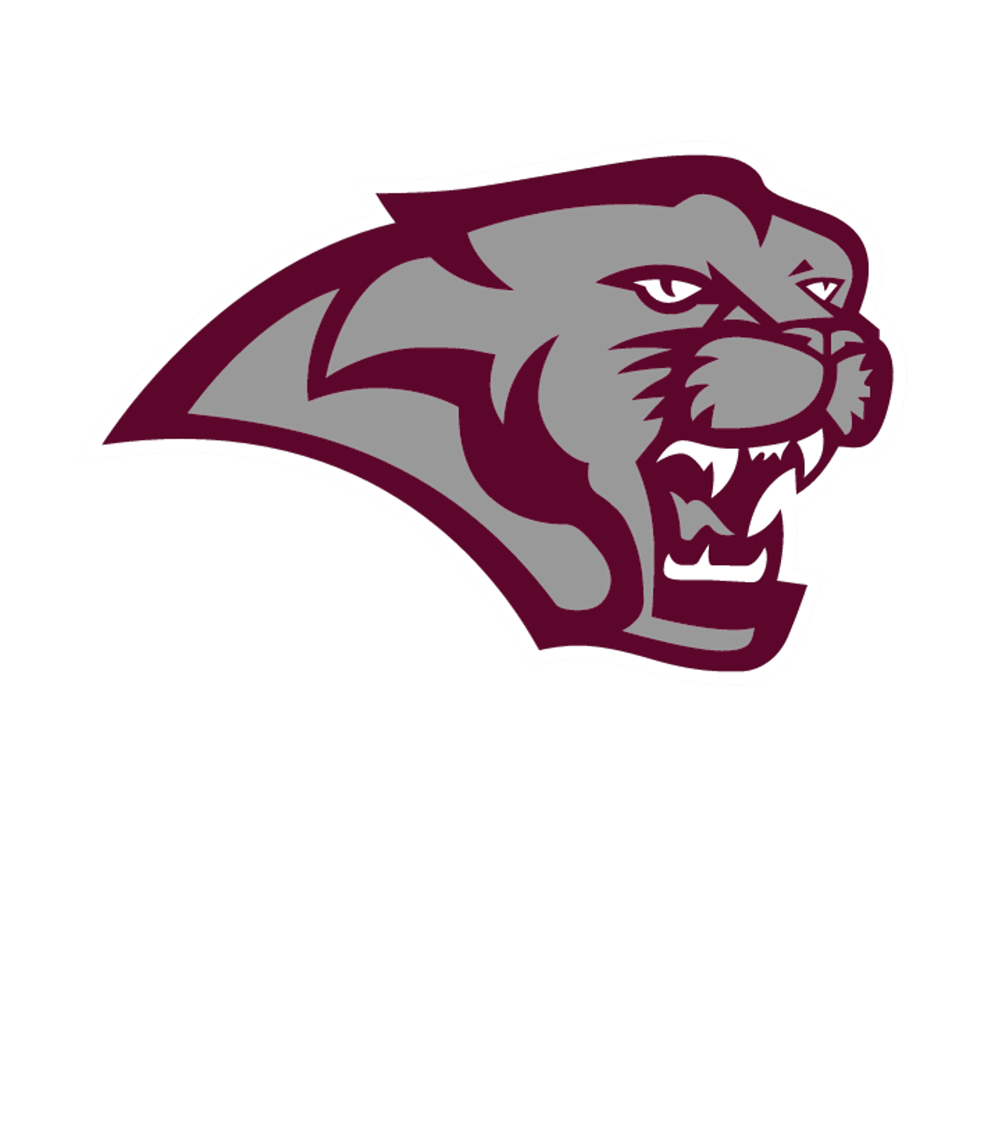Central Noble Junior Senior HS Logo