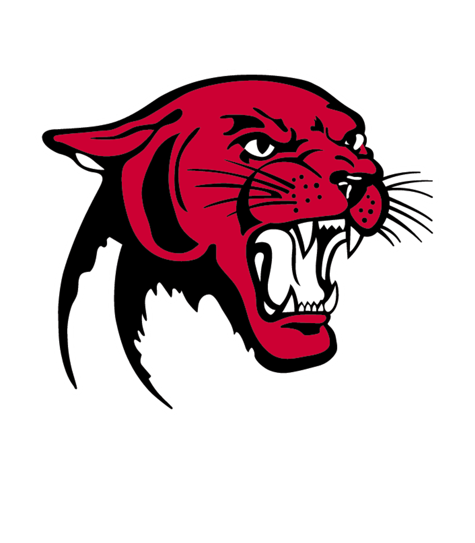COAHOMA COUNTY JR/SR HIGH SCHOOL Logo