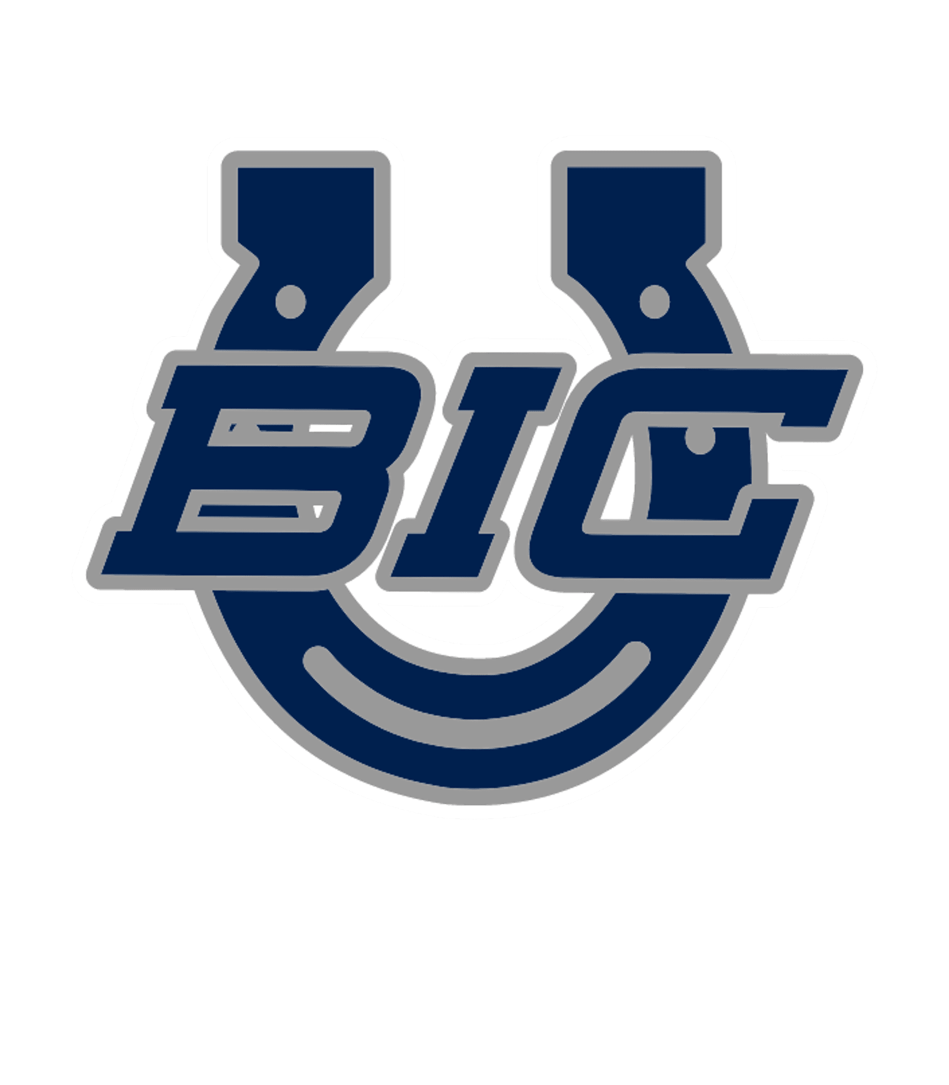 BUFFALO ISLAND CENTRAL HIGH SCHOOL Logo