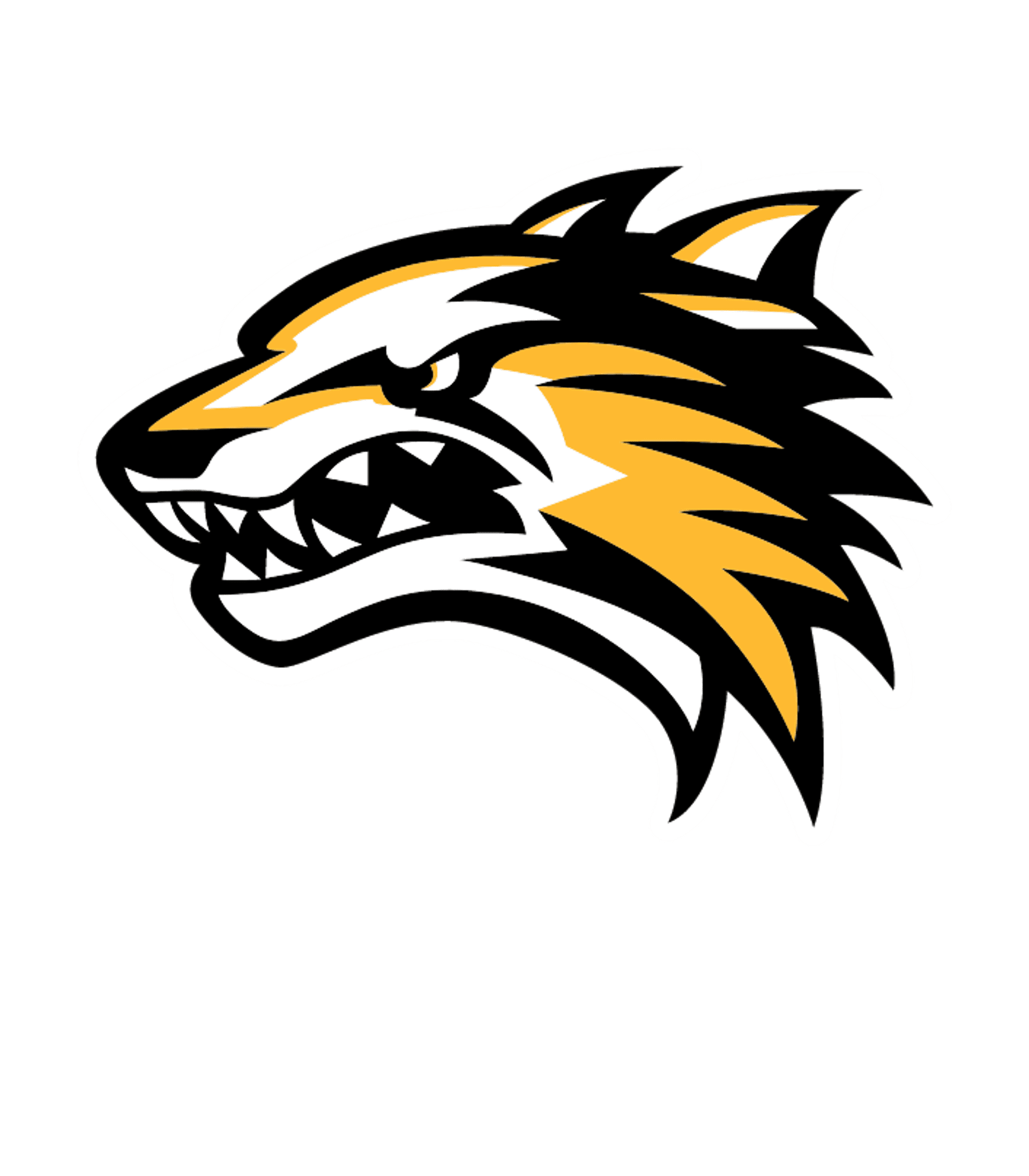 Arizona Autism Charter - Online High School Logo