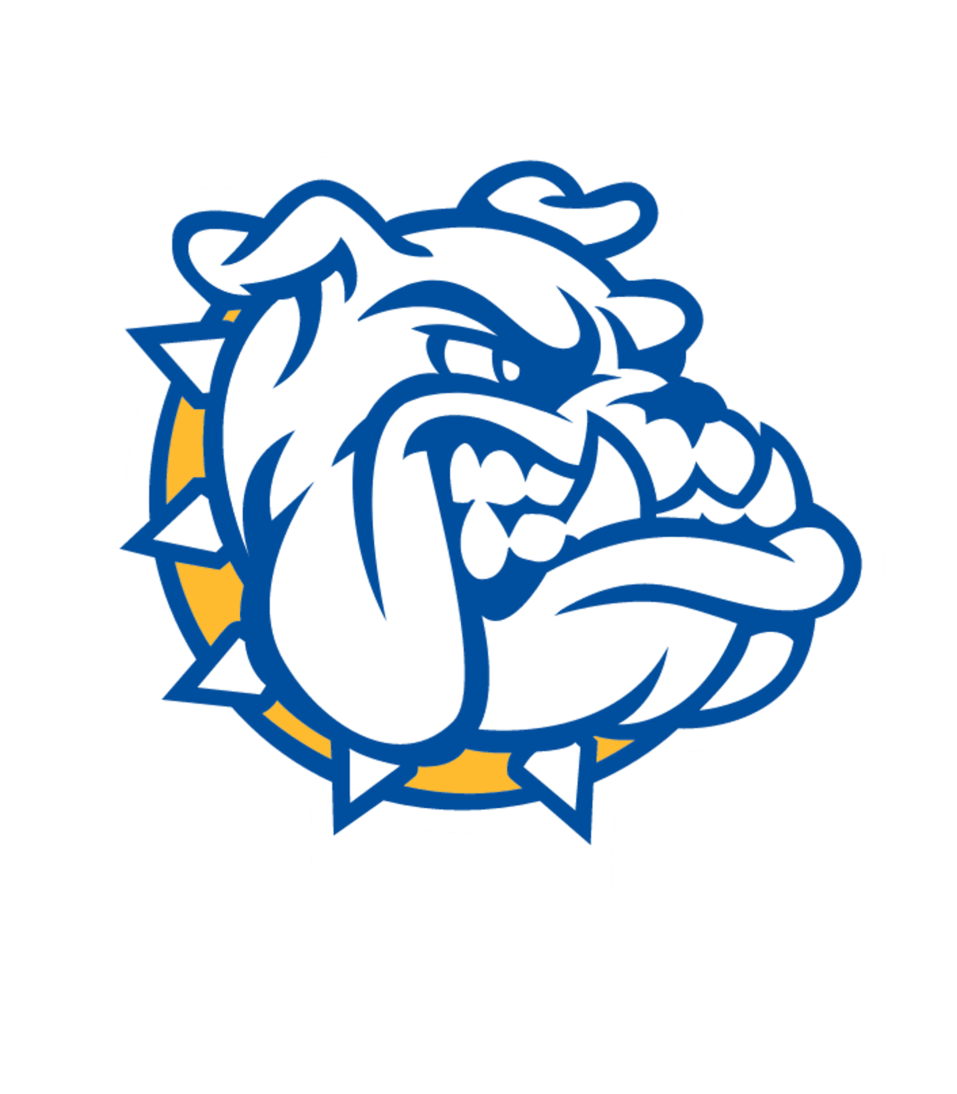 ALDEN SENIOR HIGH SCHOOL Logo