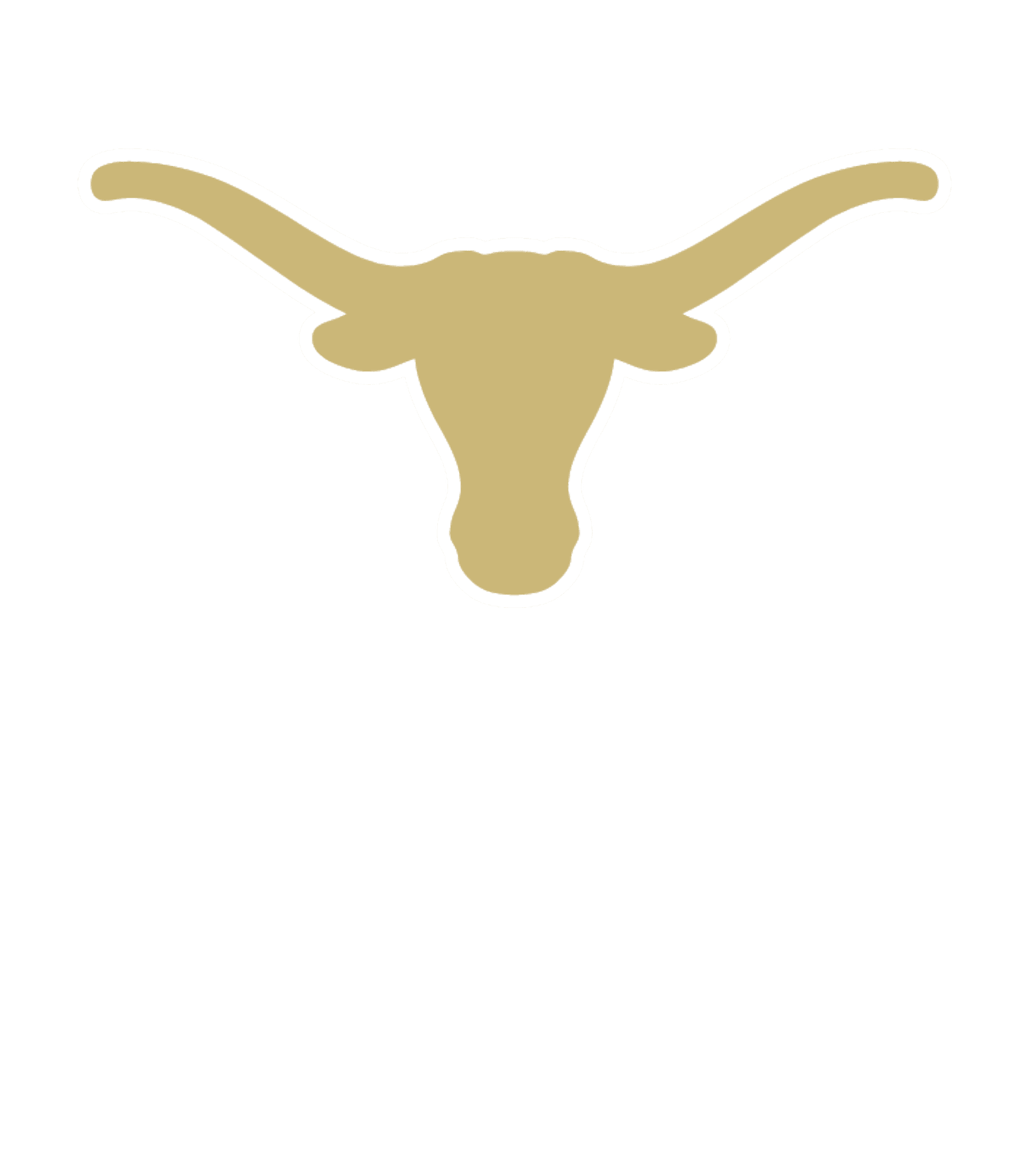 HAMSHIRE-FANNETT H S Logo