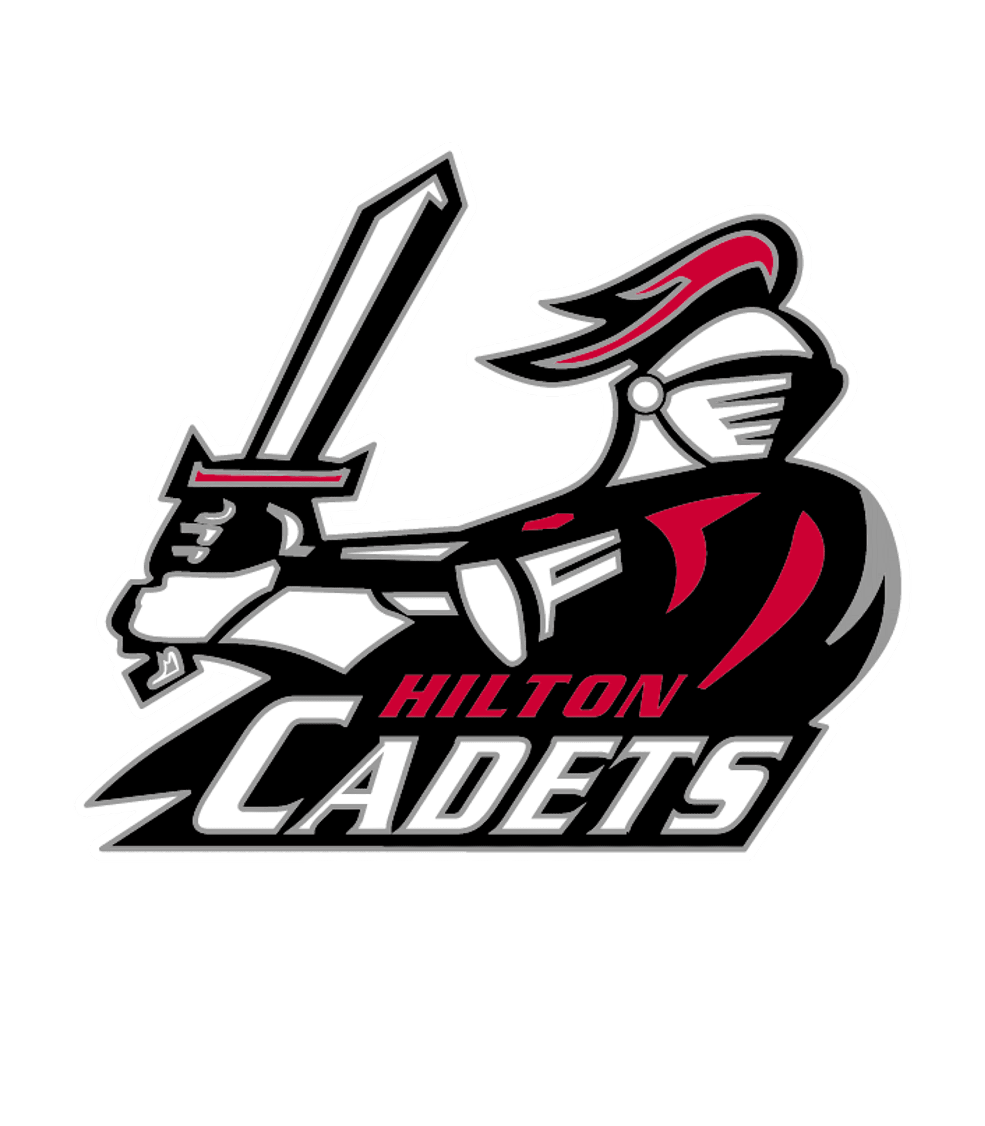 HILTON HIGH SCHOOL Logo