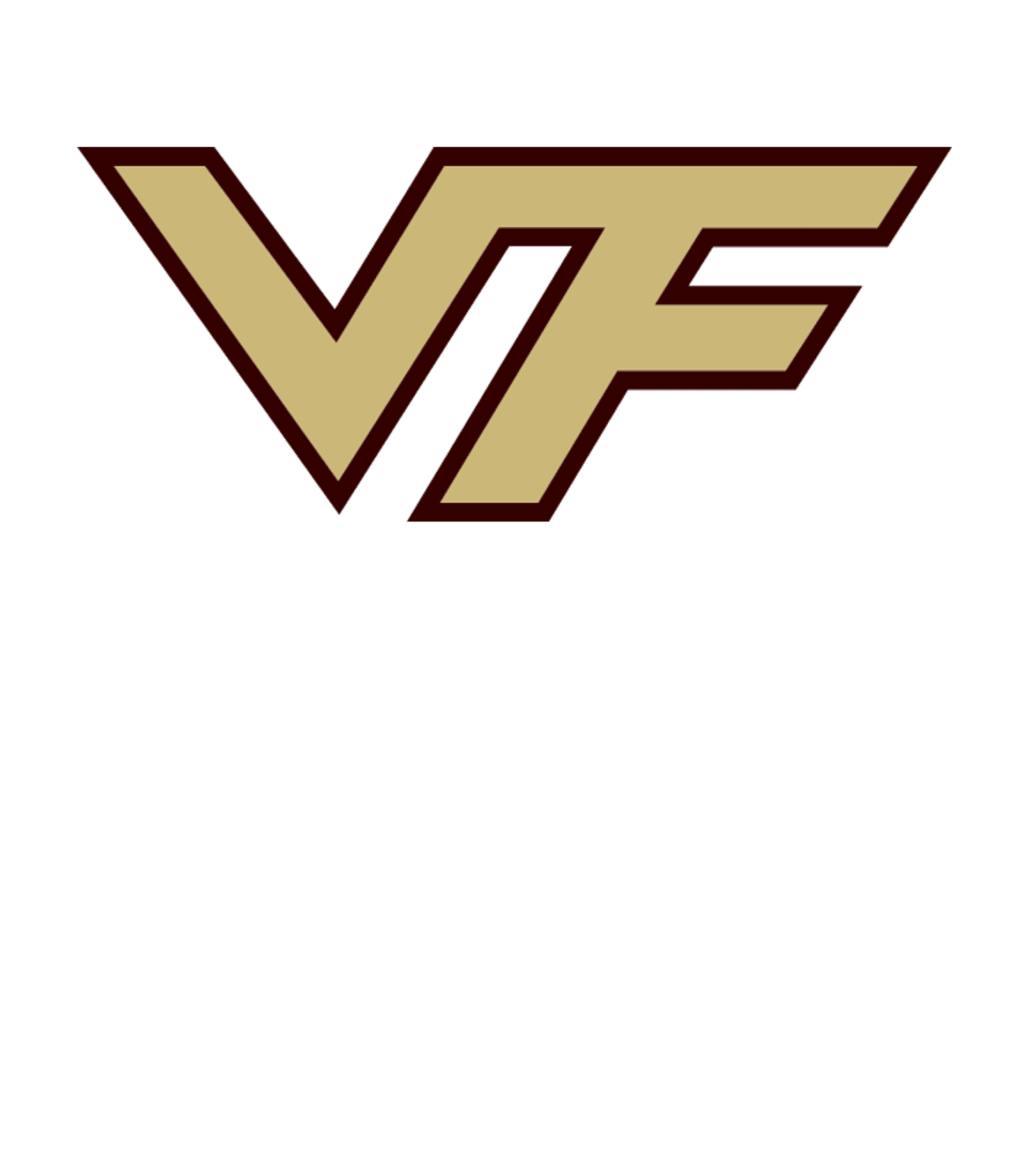 VALLIVUE ACADEMY Logo