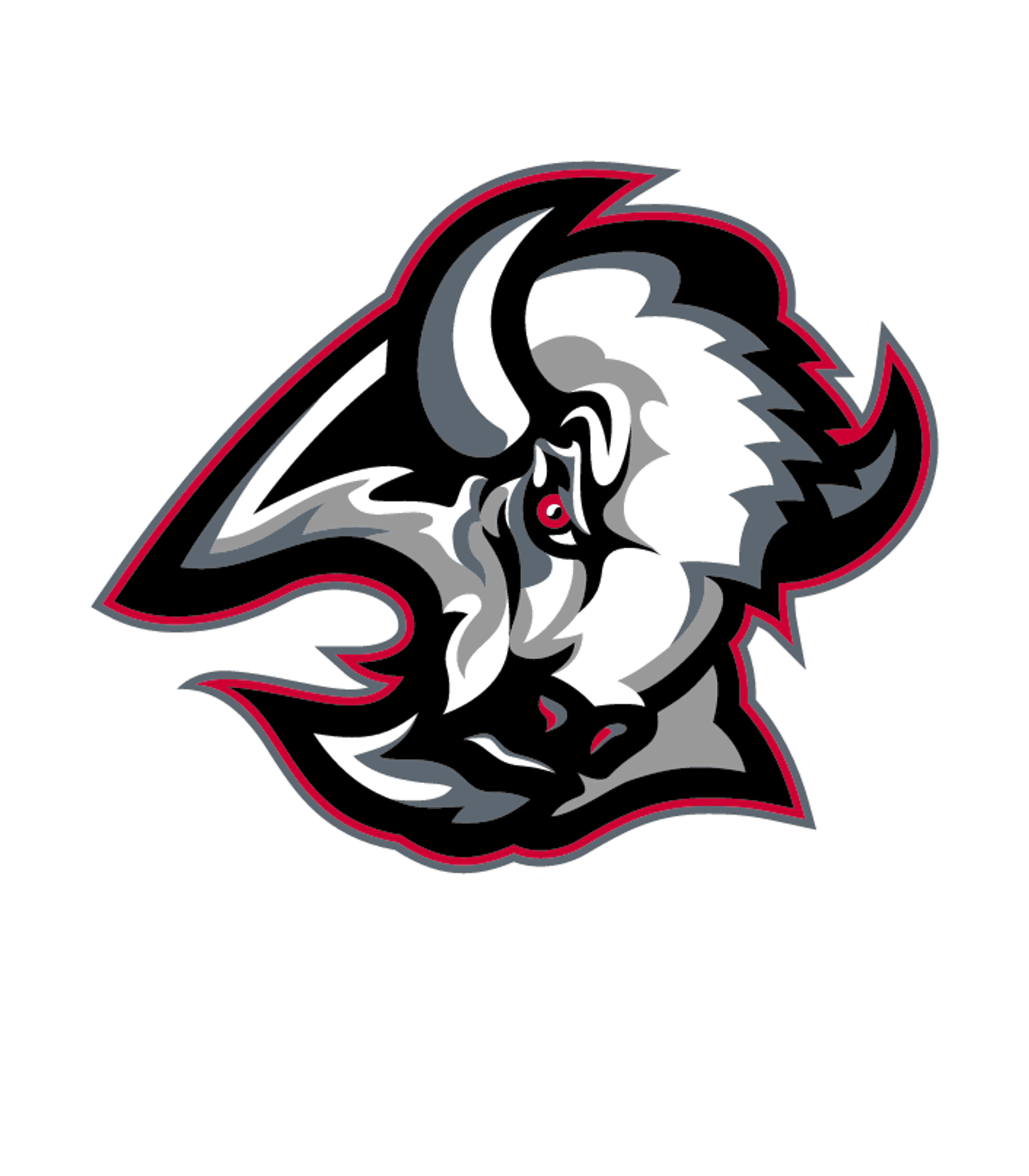 Rawlins County Jr/Sr High School Logo