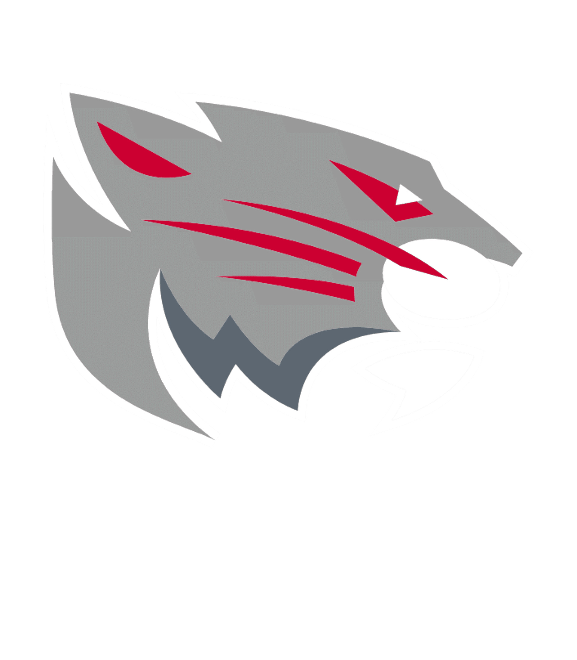 Norwich Technical High School Logo